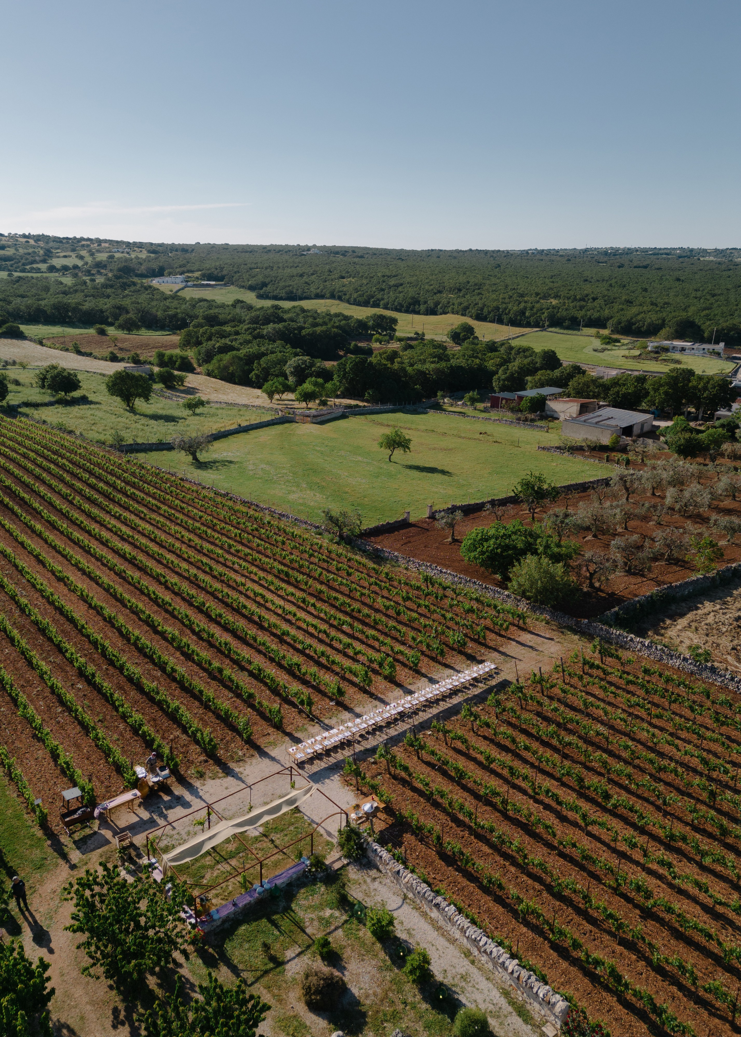 2. Весільний фотограф Вікторія Саврук