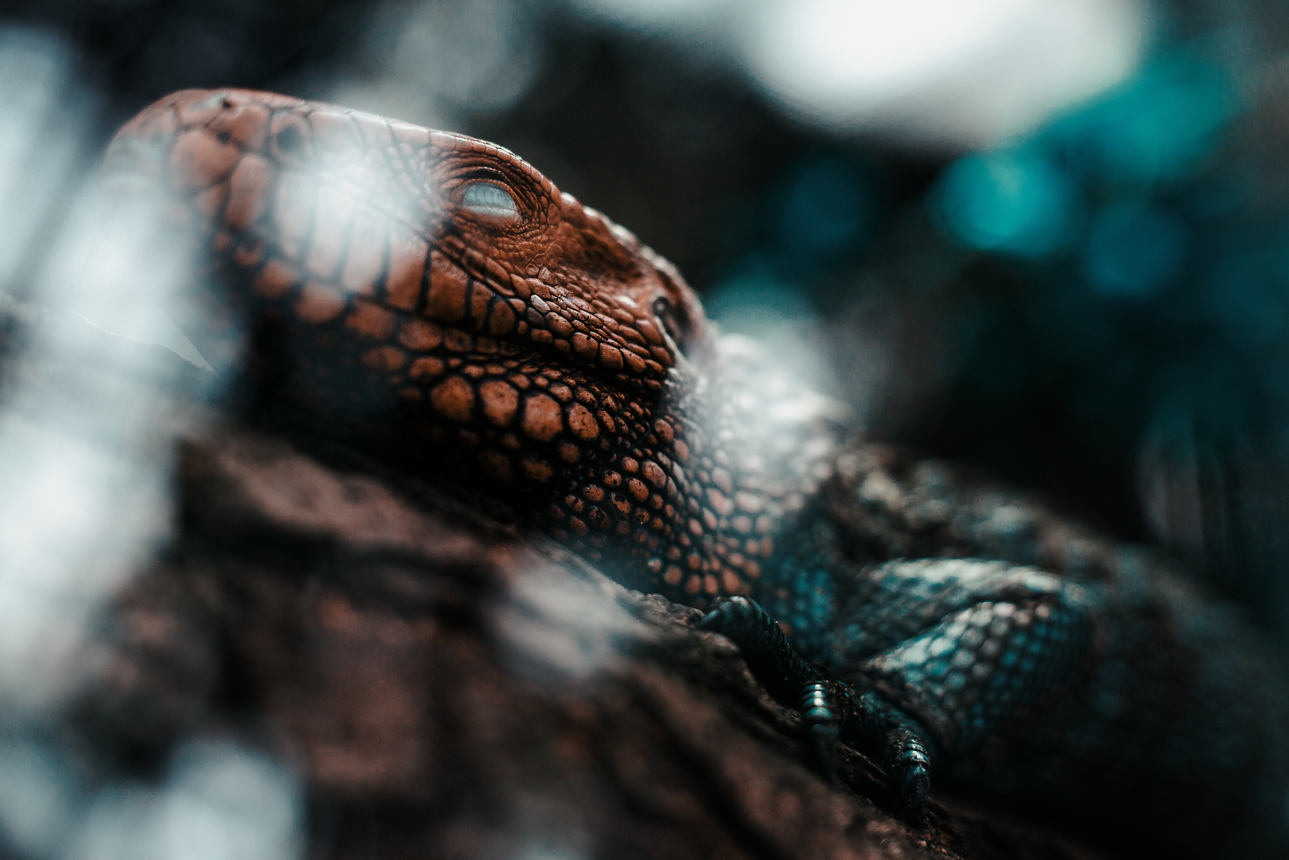 Mračni paket preseta namenjen travel fotografiji. Mark Smilyanic | Portretni boudoir fotograf iz Beograda