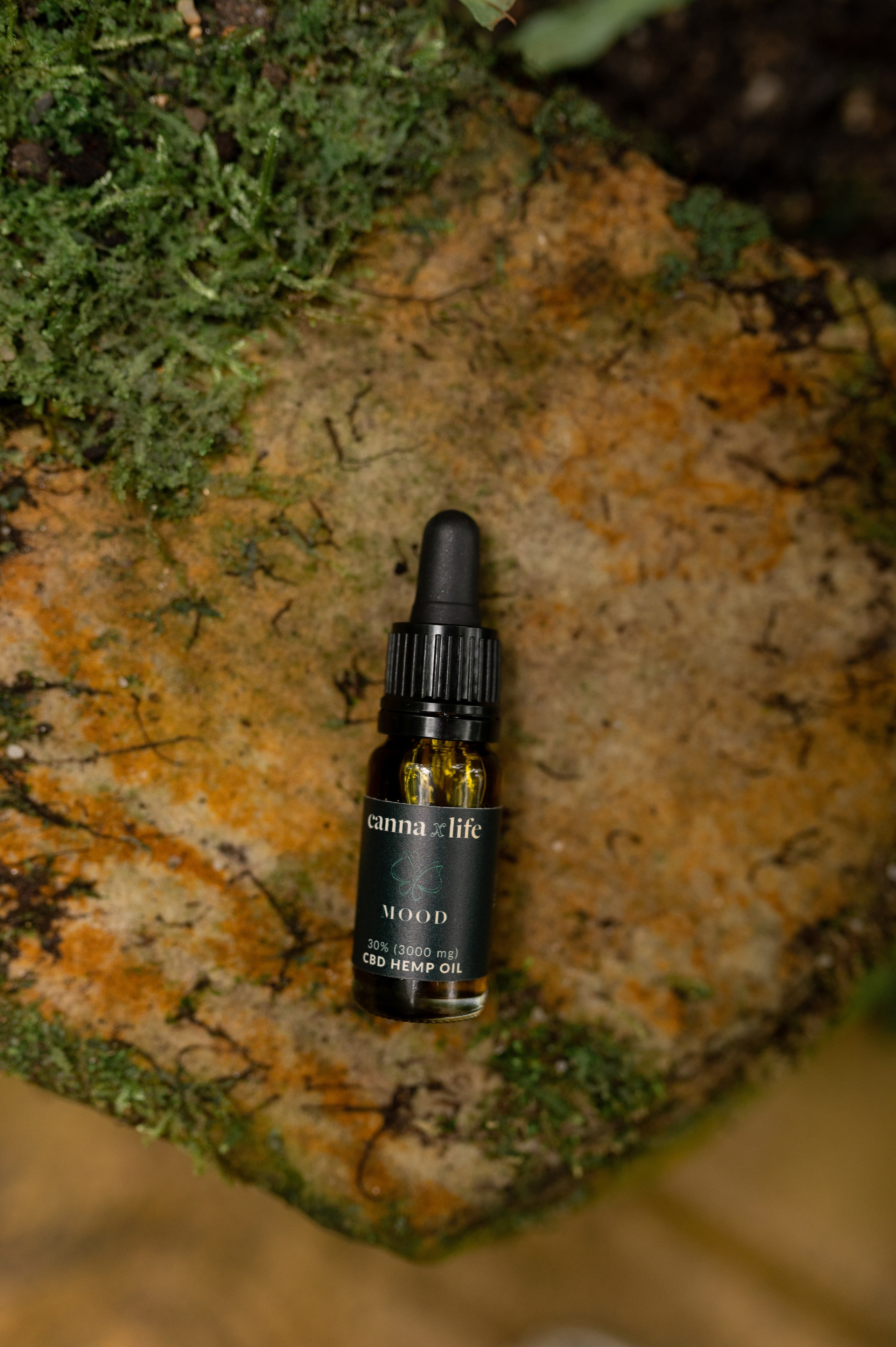 CannaXlife CBD products. ANNA-MARIA PHOTO CONTENT CREATOR — фотограф, естет, художник і візуальний експерт Instagram у Празі