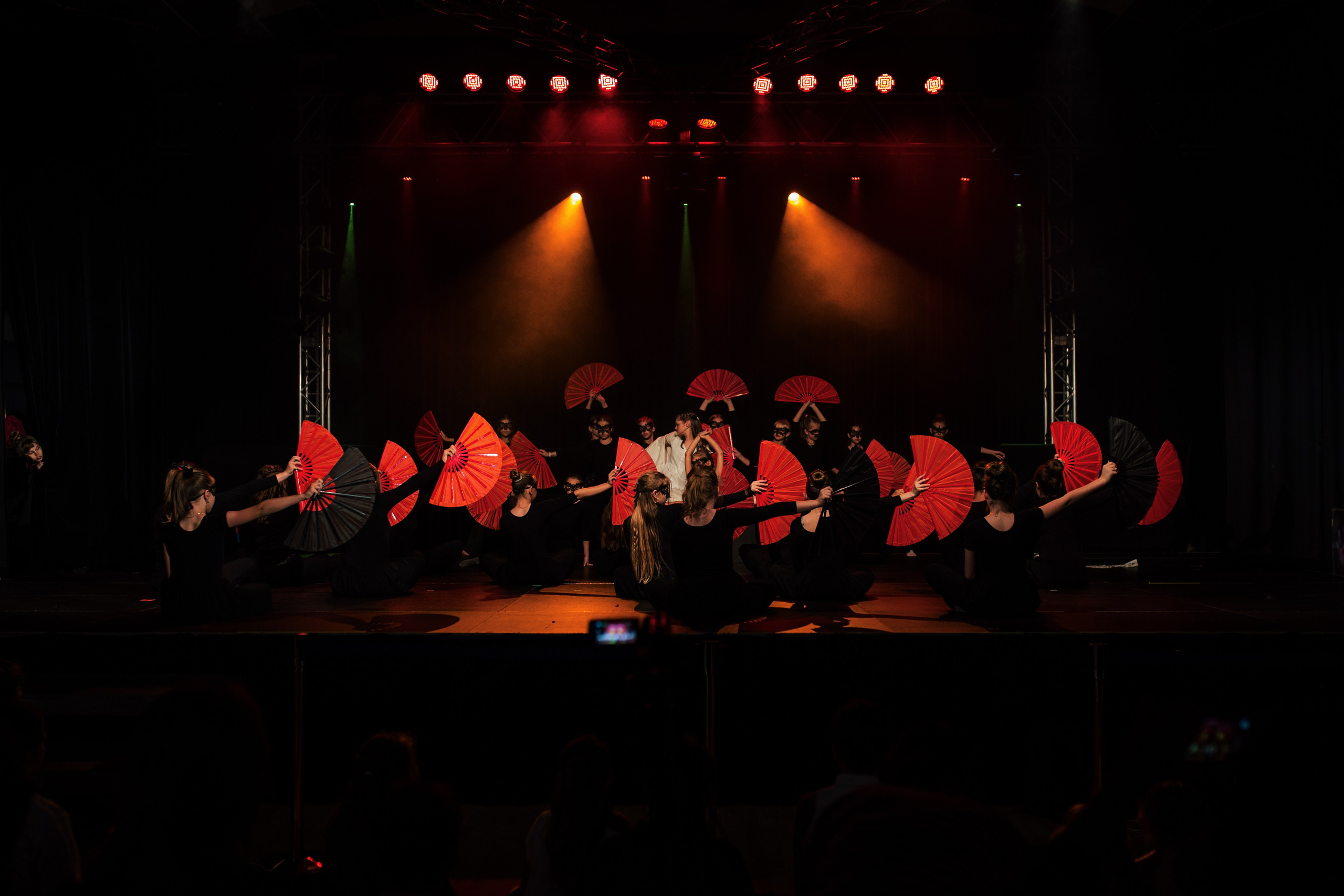 Концерт. Фотограф в Варшаве Алена Валькович-Найдион