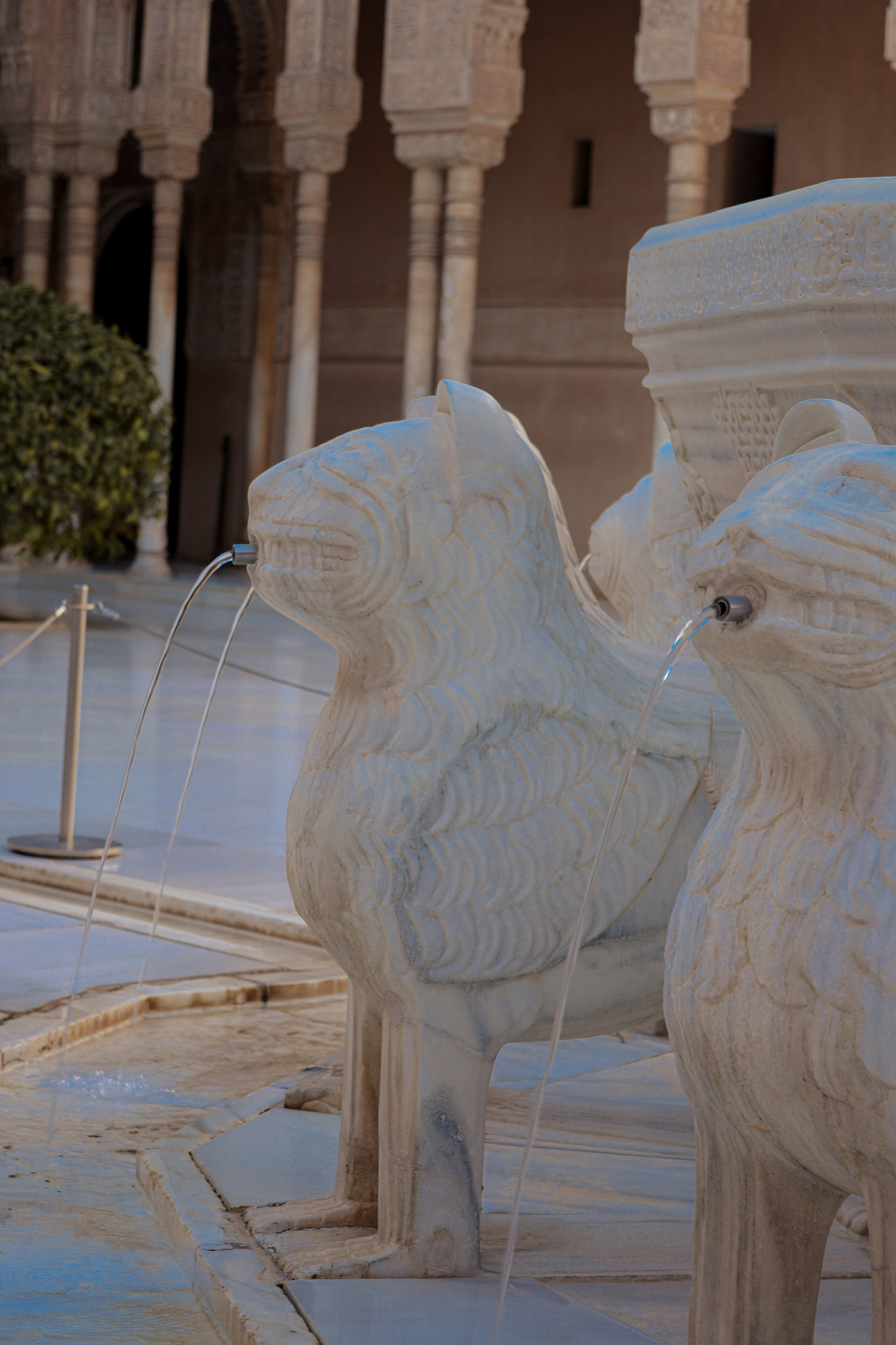 Cosas Bonitas. Yuliia Foto