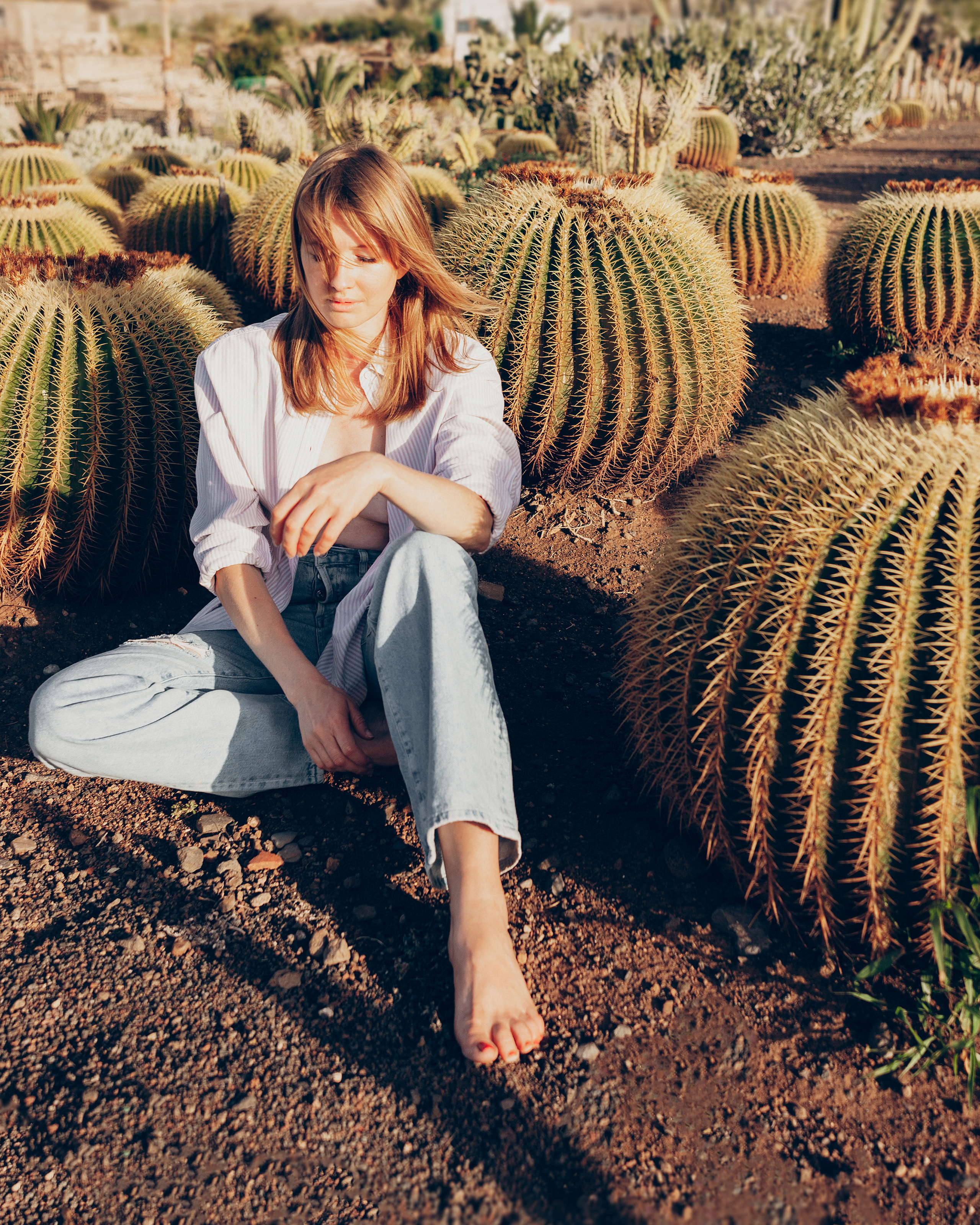 Aesthetic cactus with lady calm mood