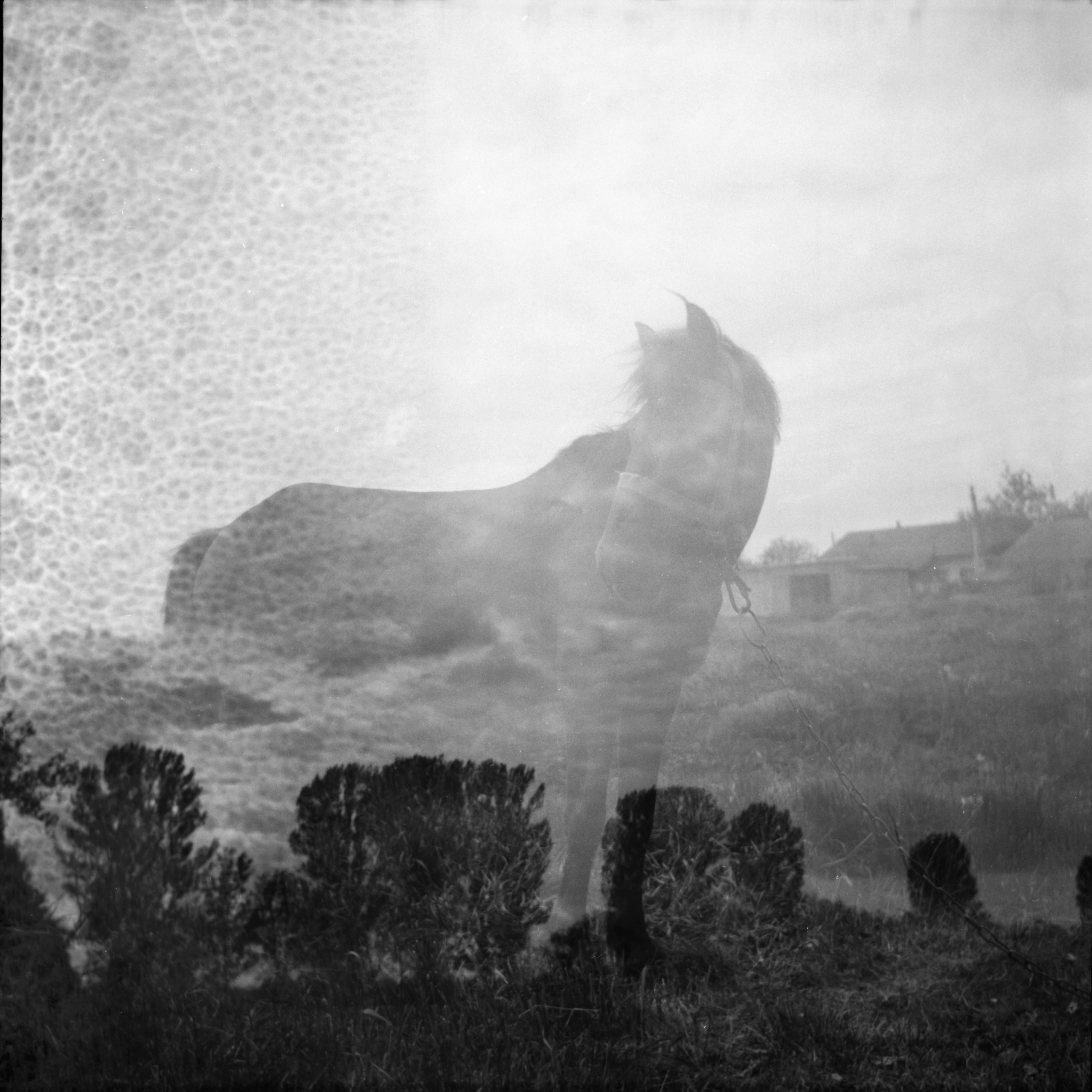 Tender Infinite Souls. Natalia Parfenova visual artist film photographer