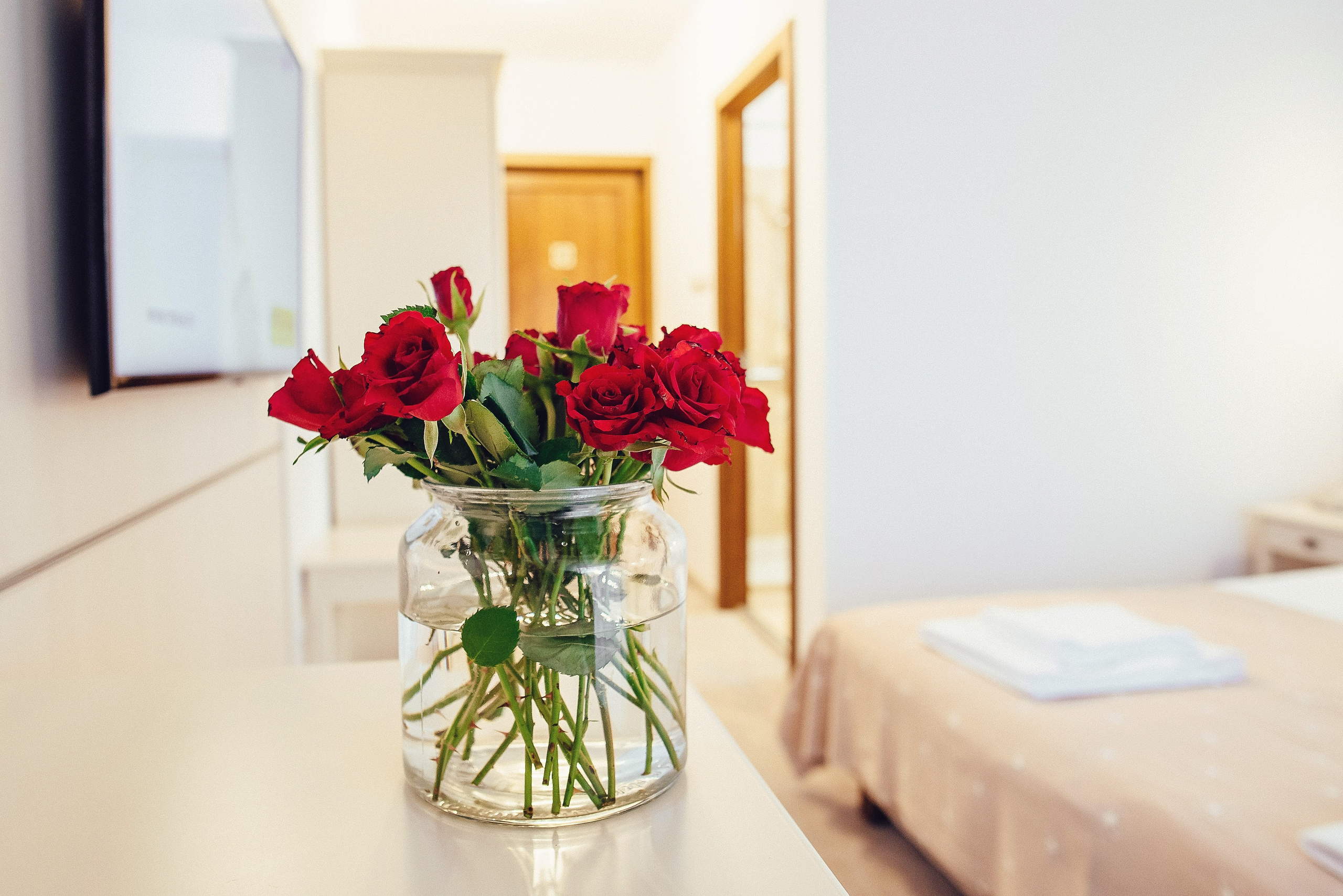 Pensiuni. George Boicu — Fotograf — Gura Humorului