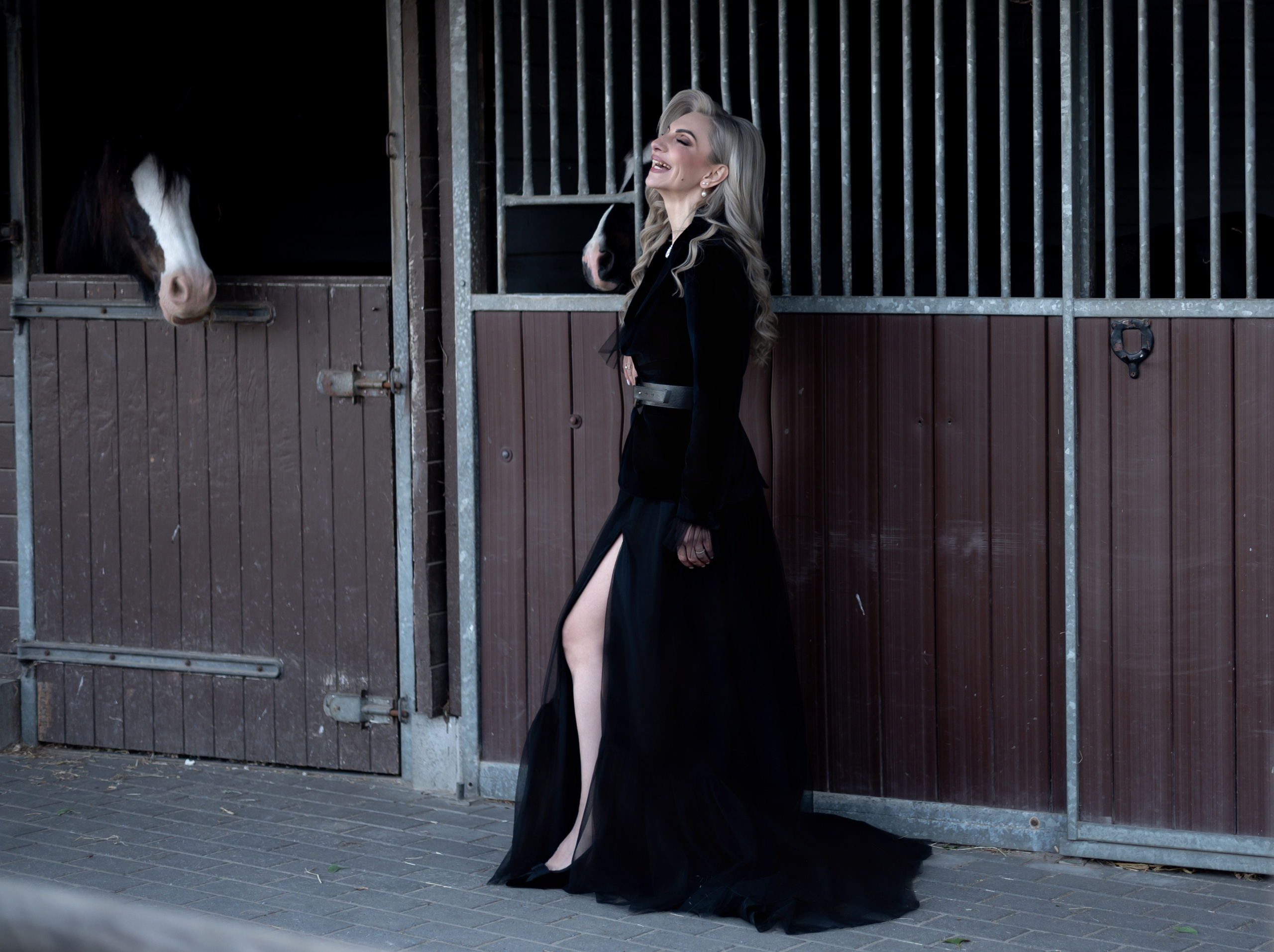 Photoshoot with Horses. Professional Photograher, Antwerpen/Belgium