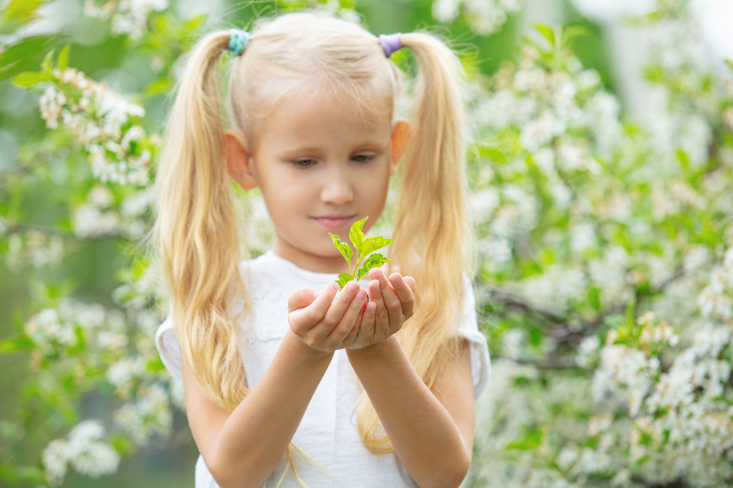 Petite fille observant une feuille verte dans ses mains dans un jardin printanier
