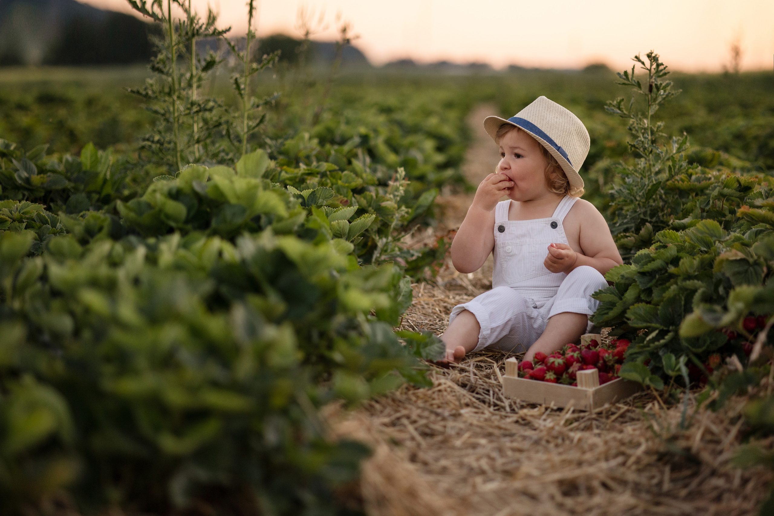 Kinder. Kinder- und Familienfotografin