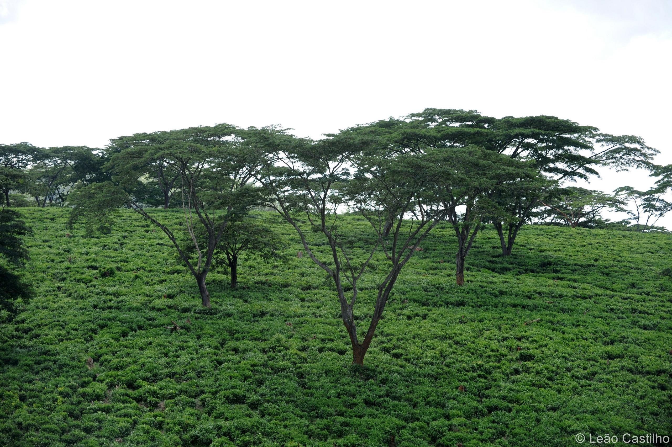 Photos from Mozambique. Simbahalu