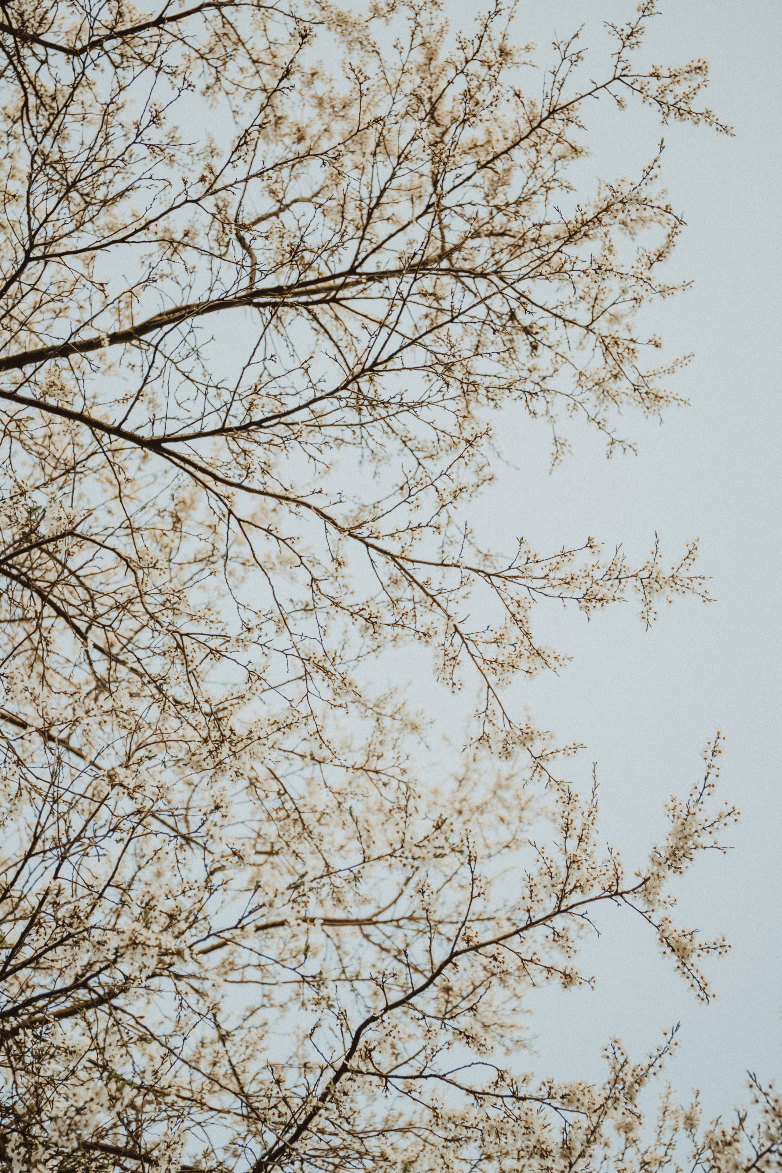 Ekaterina ♡ Dmitry. Fotograf Mykhalchuk Inna Kraków