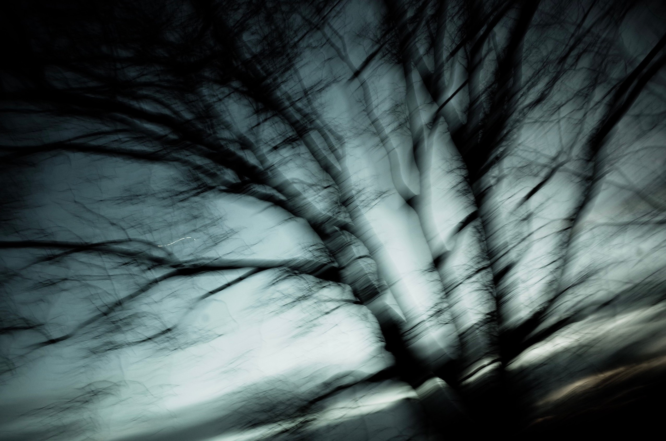 Aut Splash. Виктория Дини. Арт-фотография