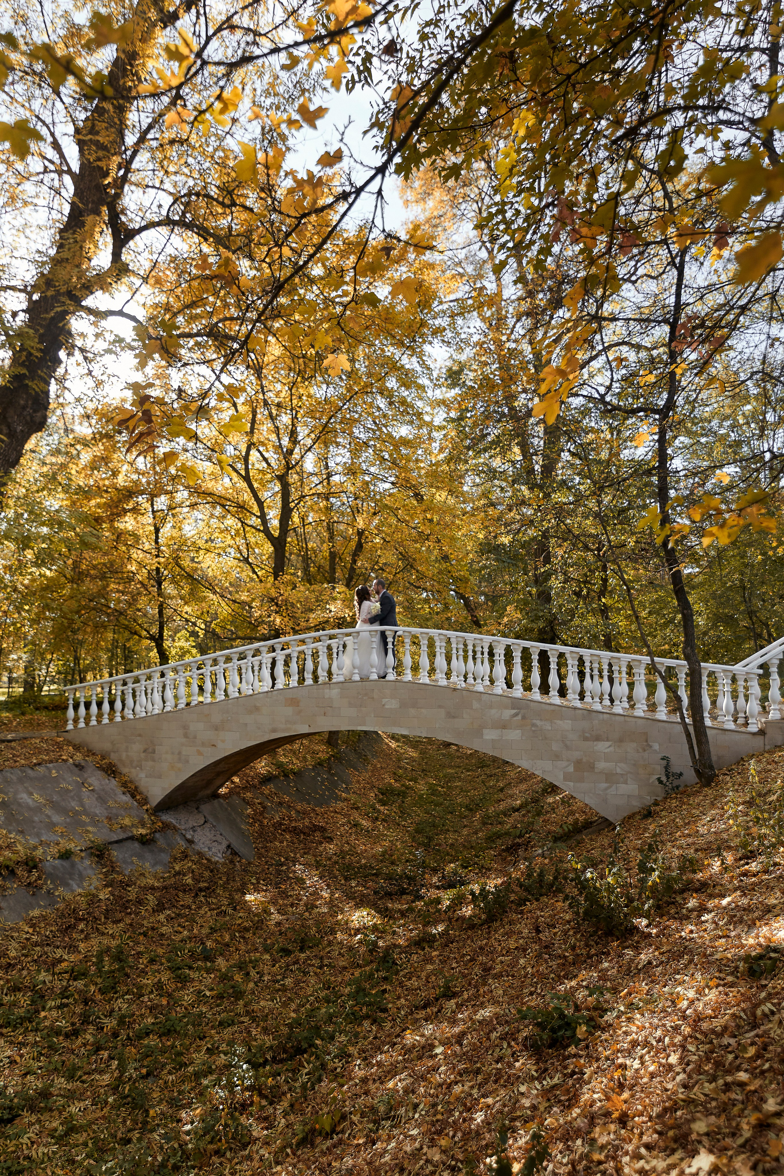 Михаил и Ольга. Дмитрий и Каролина Тофан