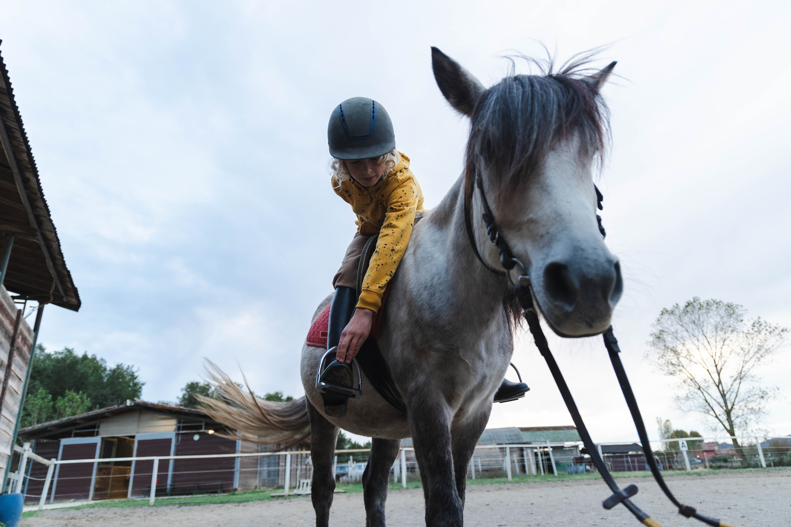 Filip and horses in Italy. Nina Janeckova Fotografin und Videografin am Bodensee