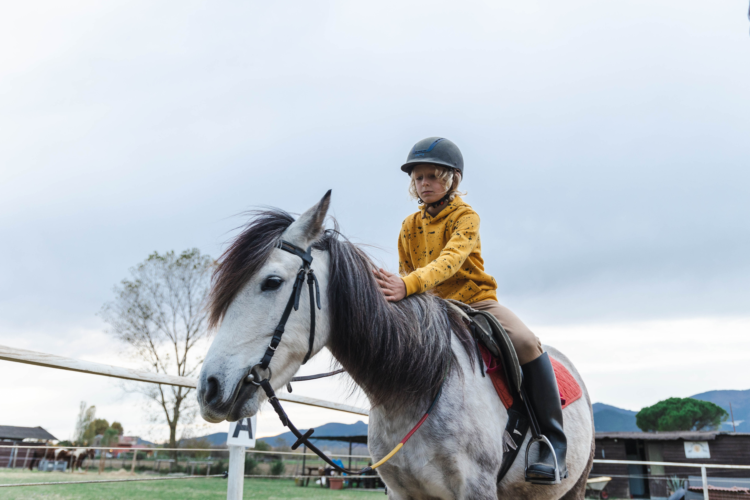 Filip and horses in Italy. Nina Janeckova Fotografin und Videografin am Bodensee
