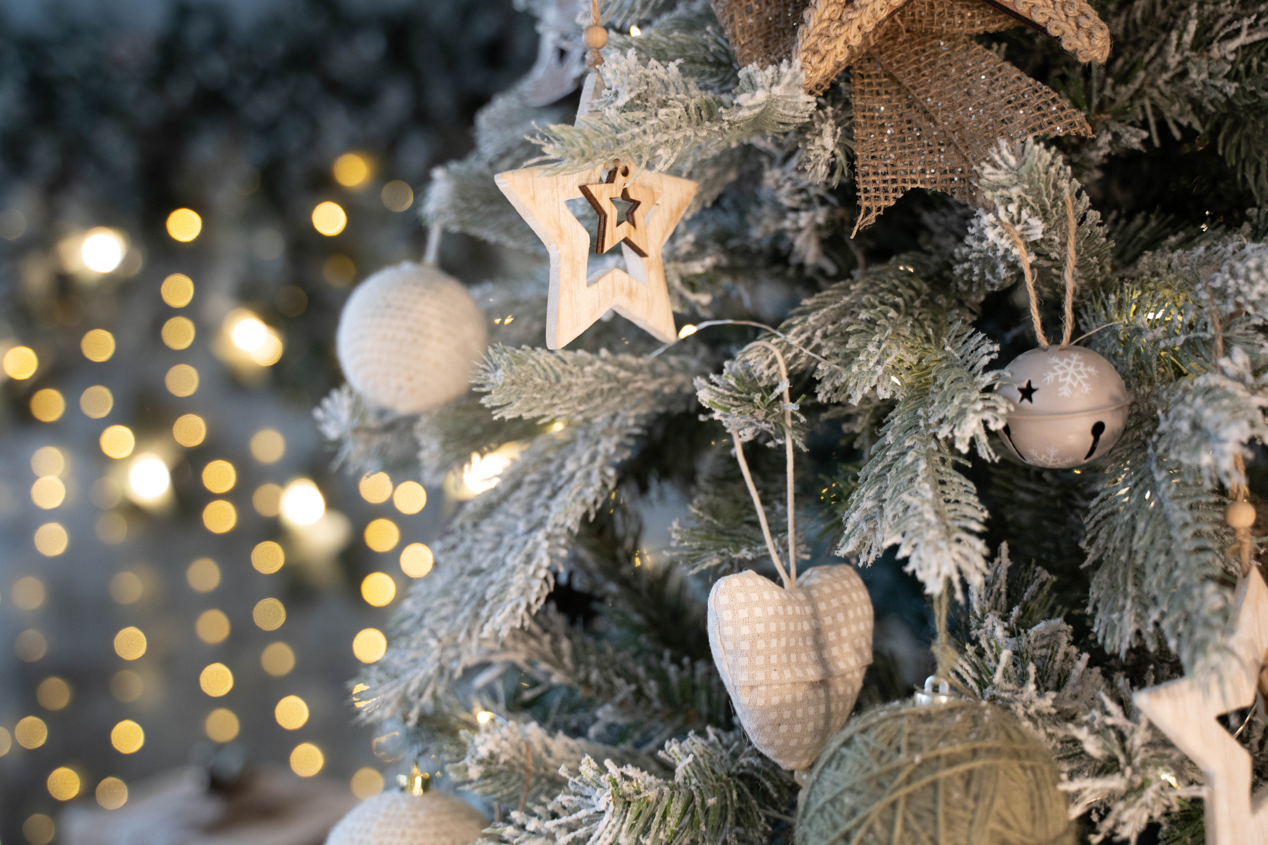 Family Olga and Maxim. Nina Janeckova Fotografin und Videografin am Bodensee