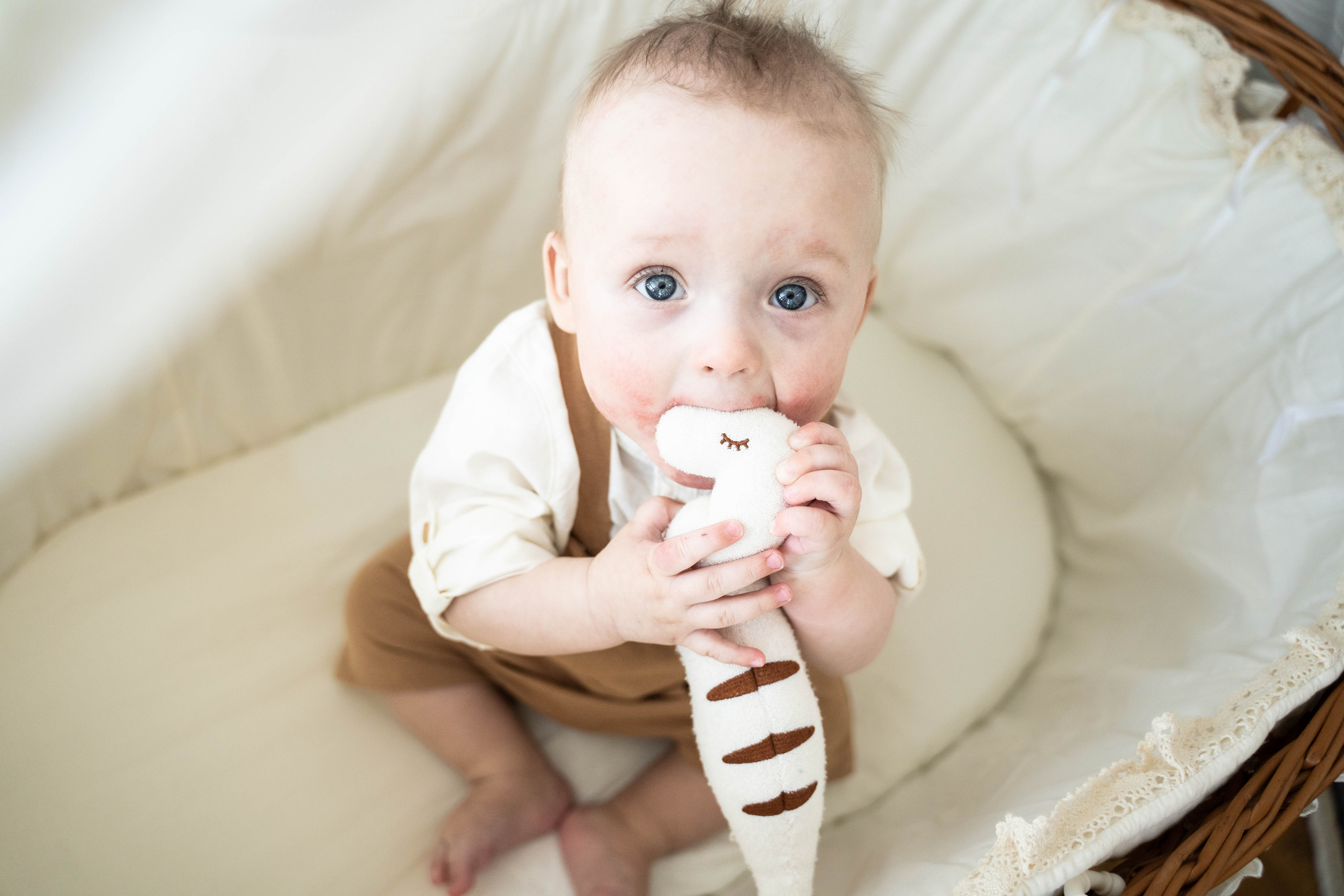 Natalia, Dima, Sophia und David. Nina Janeckova Photographer and Videographer in Bodensee Ravensburg