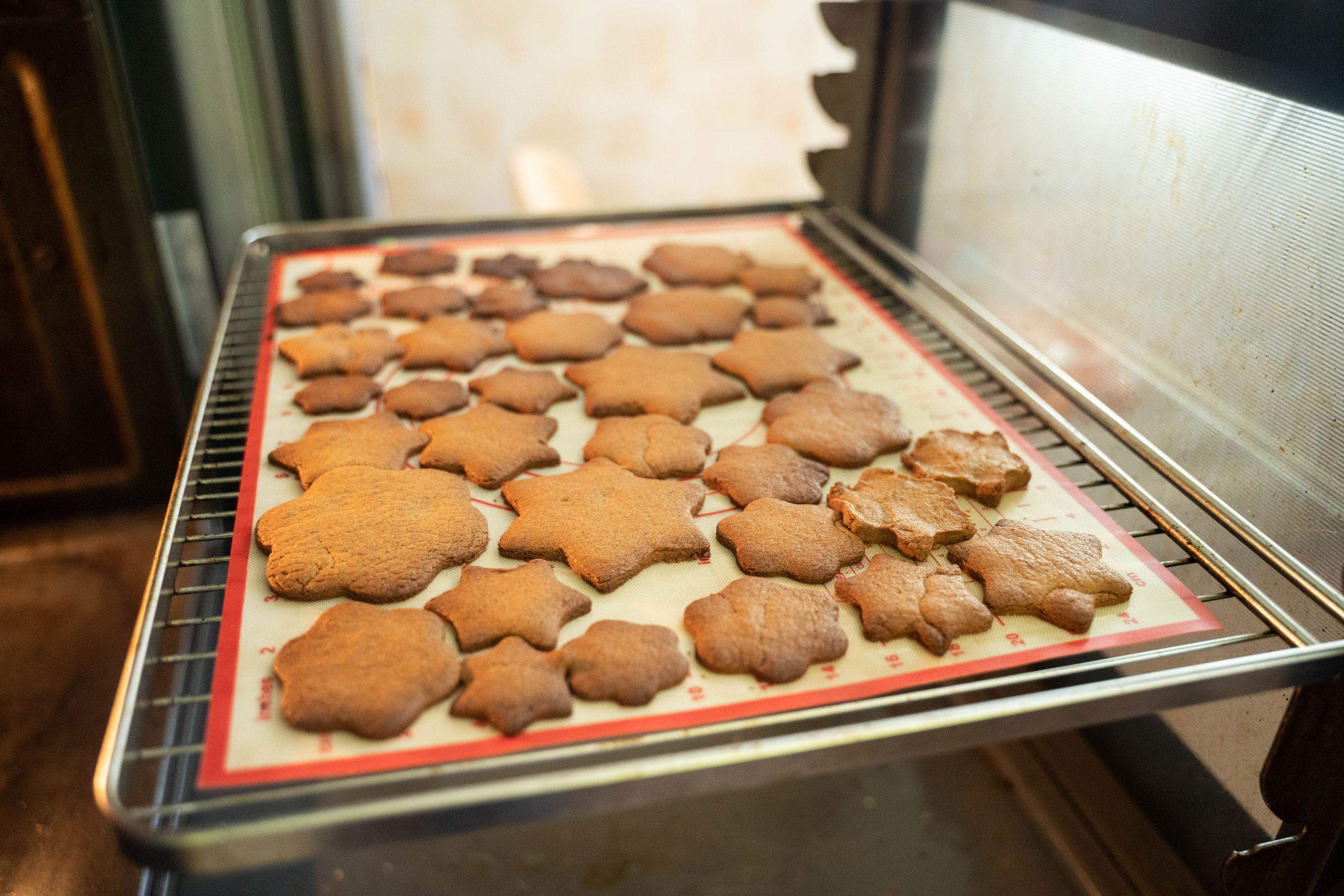 Family of Yuliya. Nina Janeckova Fotografin und Videografin am Bodensee