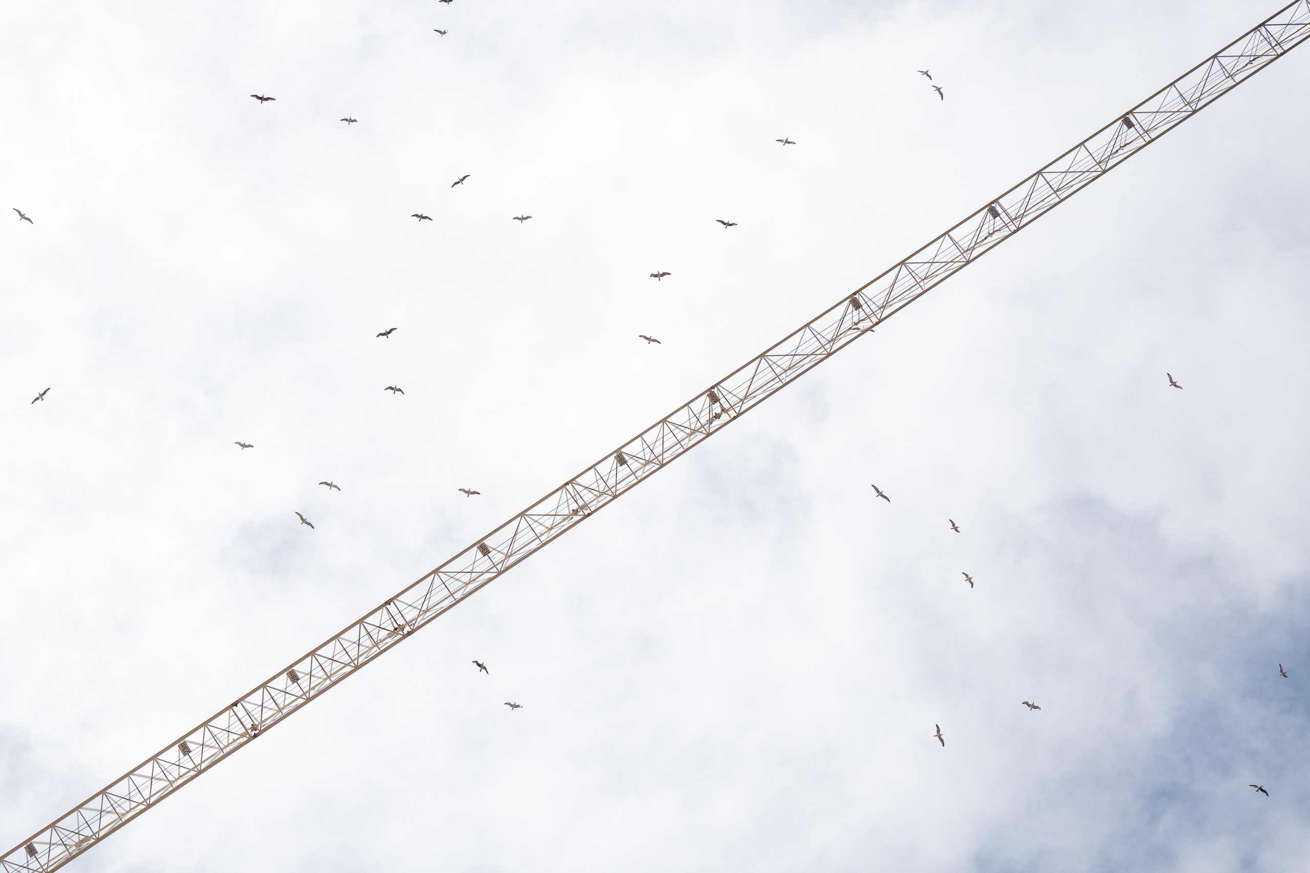 Street. Maria Sher. Professional photographer from Porto, Portugal