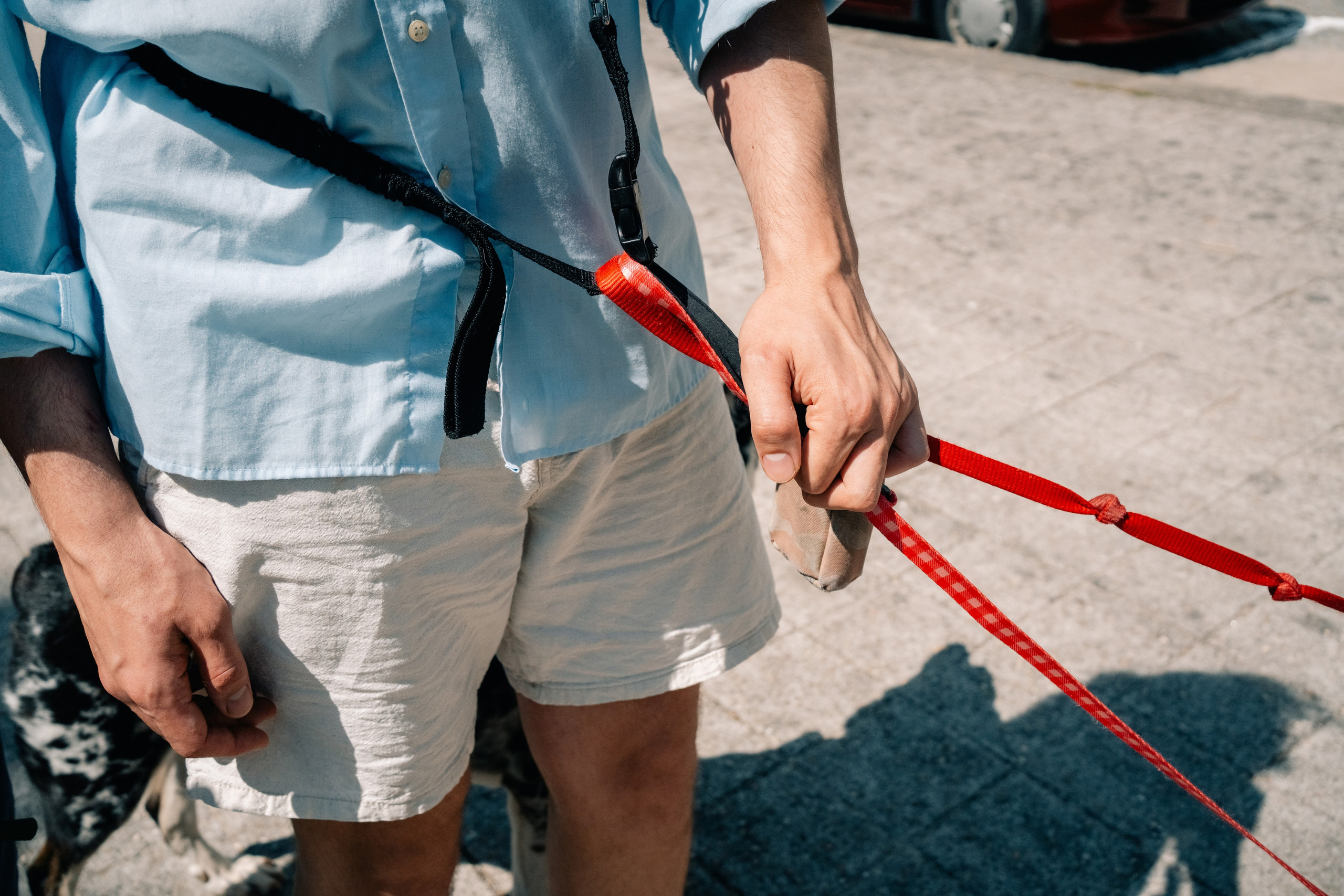 Yana & Pedro & Doggos. Maria Sher. Fotógrafa profissional do Porto, Portugal