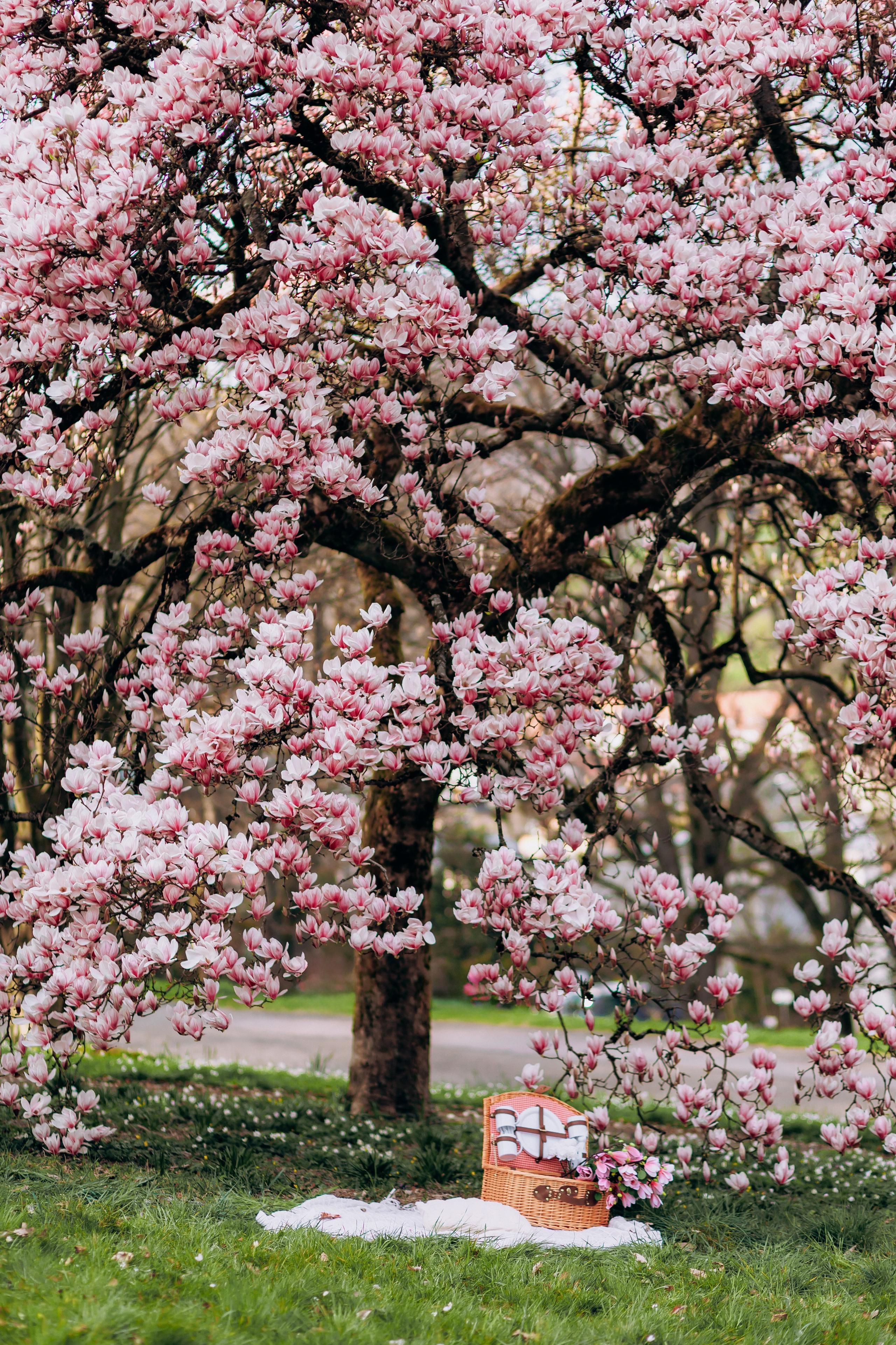 Tatiana, Alisa, Daria. Wedding and Family Photograph