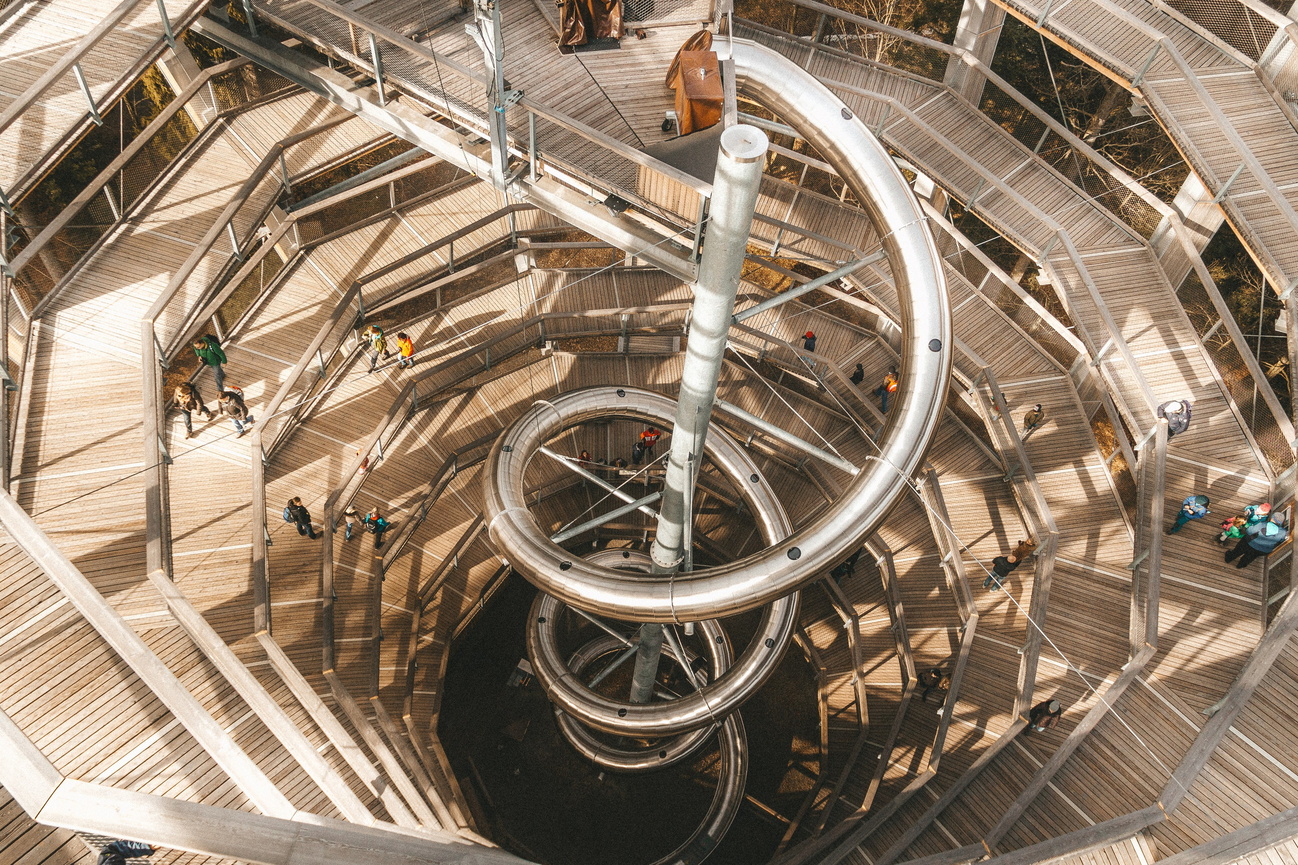 Над вершинами деревьев Baumwipfelpfad. Фотограф в Германии — Мария Чистякова