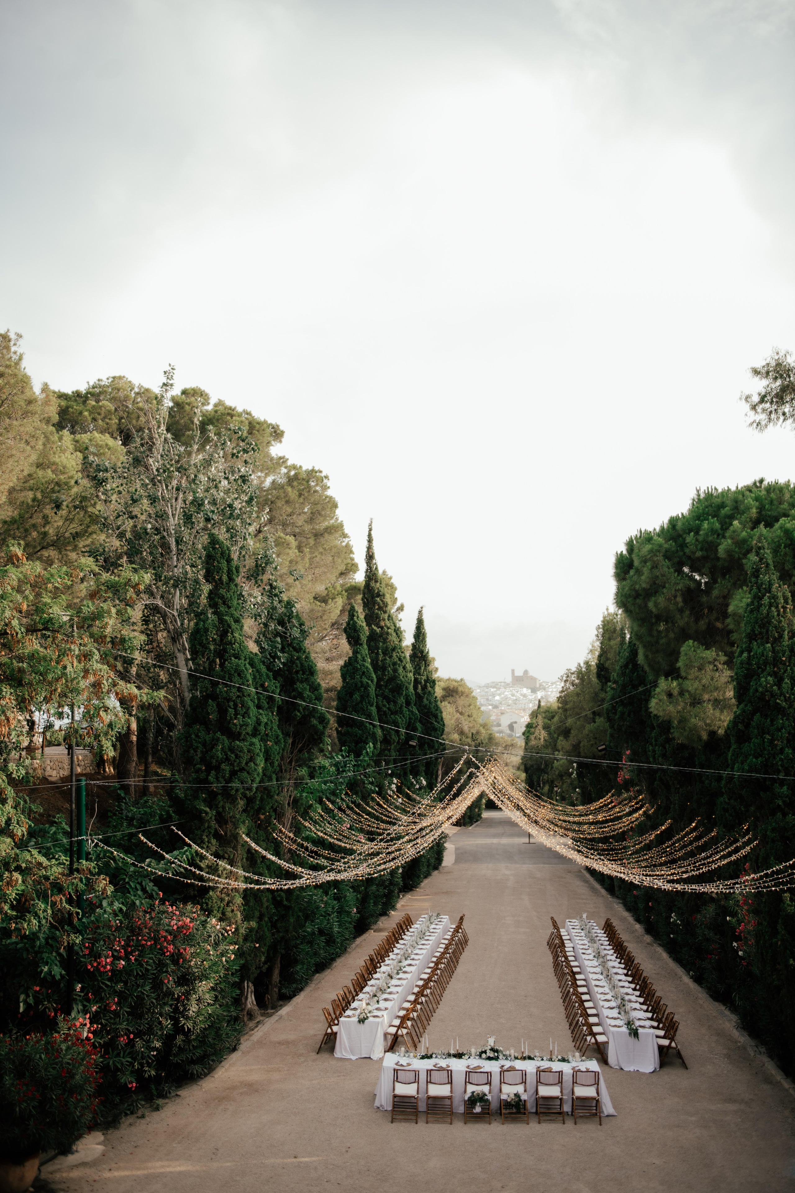 Alicia & Marc (Finca Marques de Montemolar)