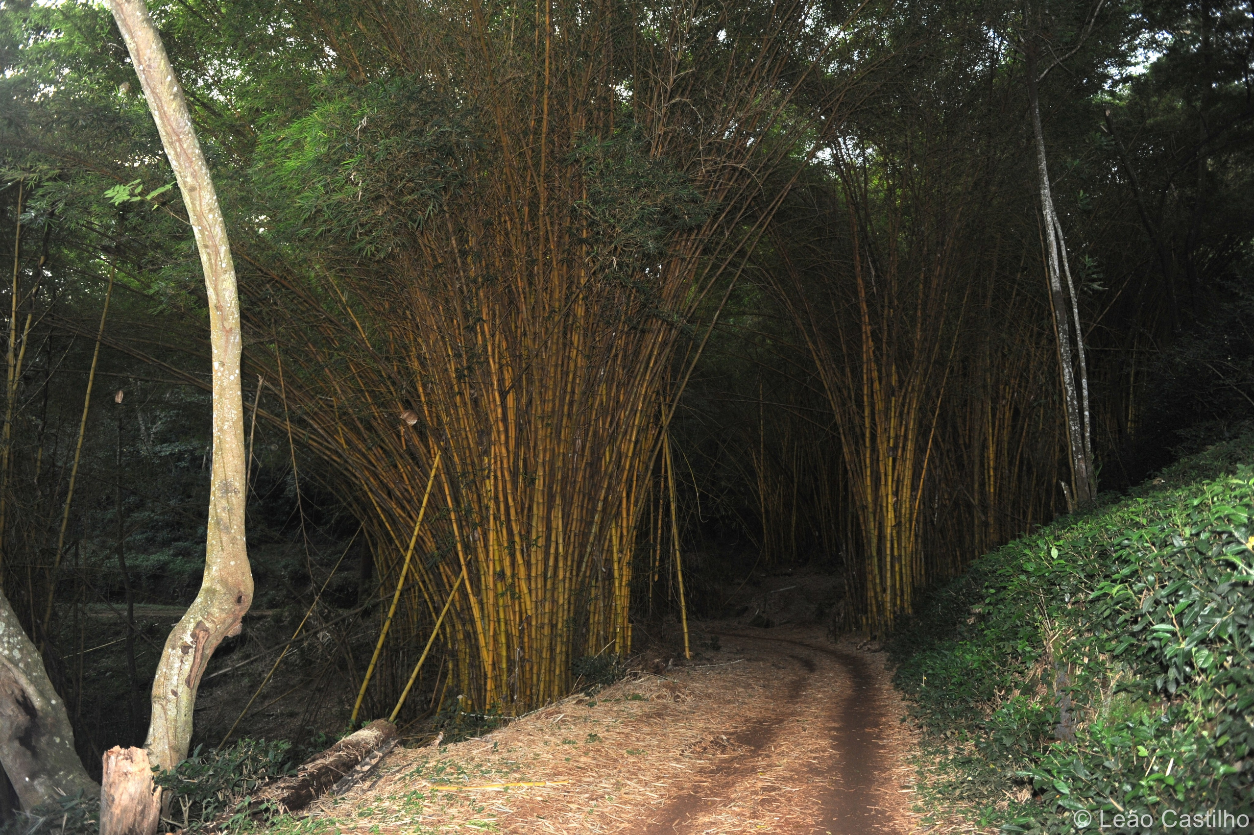 Photos from Mozambique. Simbahalu
