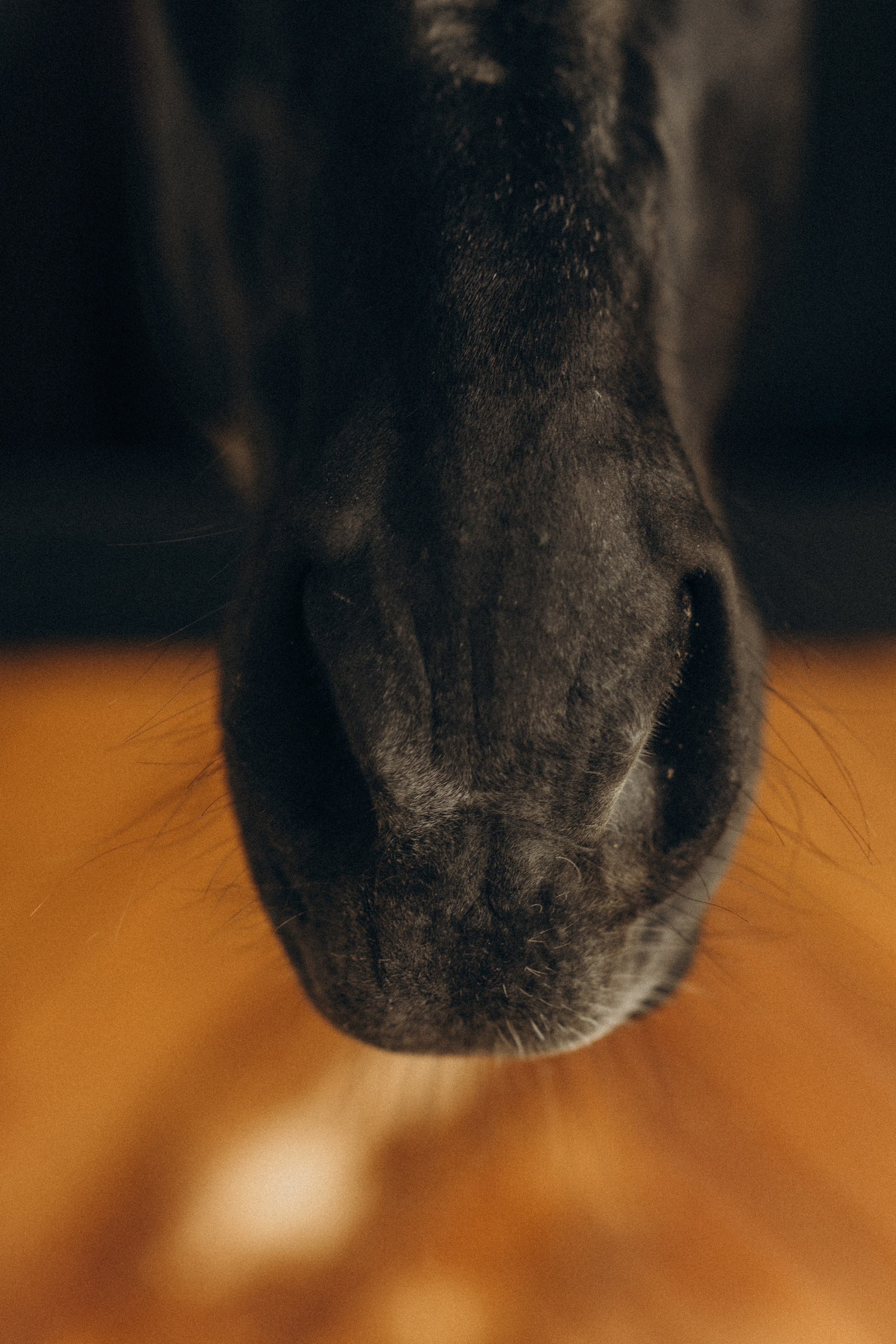 Susanna Hyypiä. Wedding and portrait photographer in Helsinki Vickan O