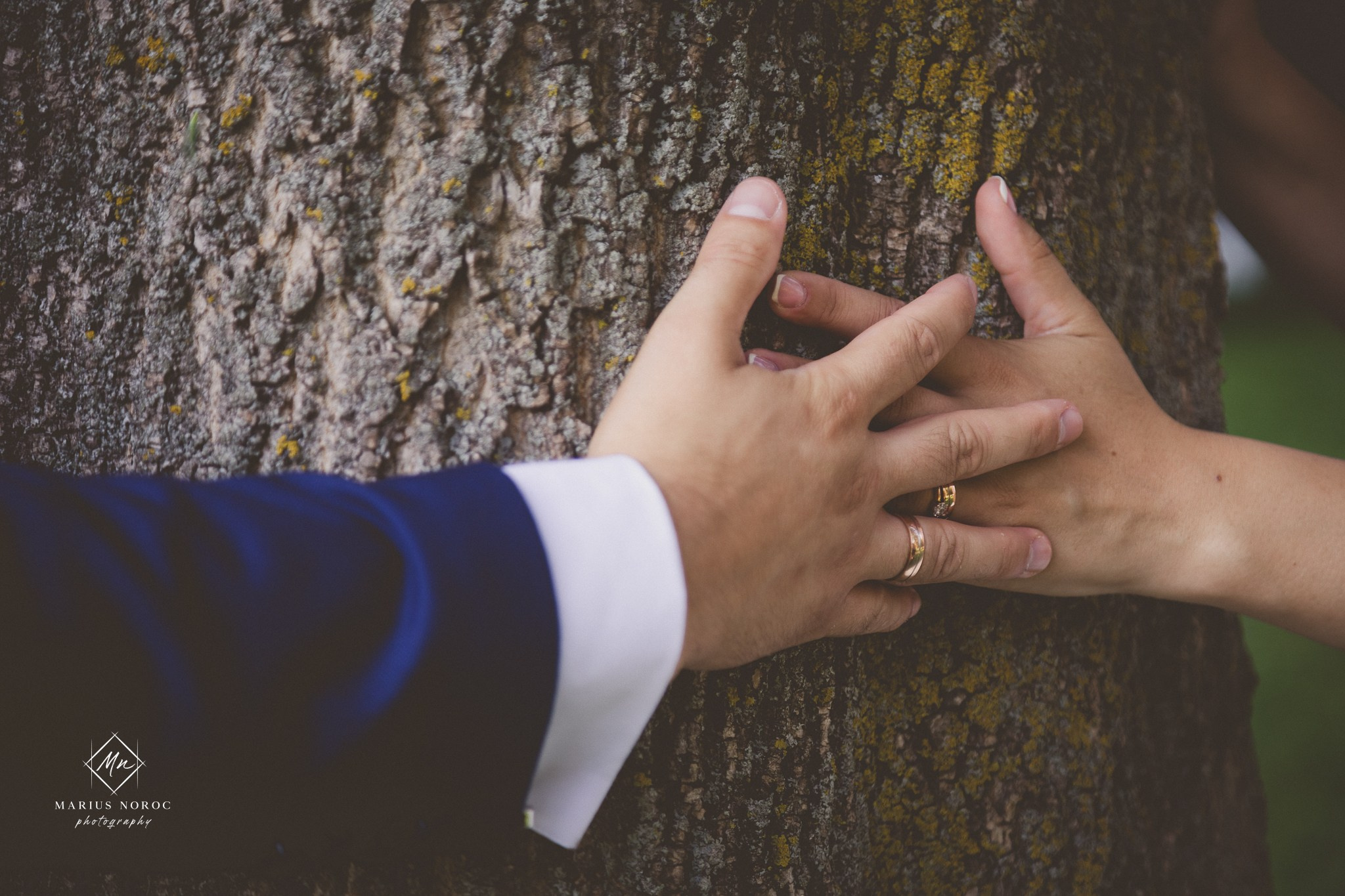 Alina & Petru | Castelul Miclauseni Iasi