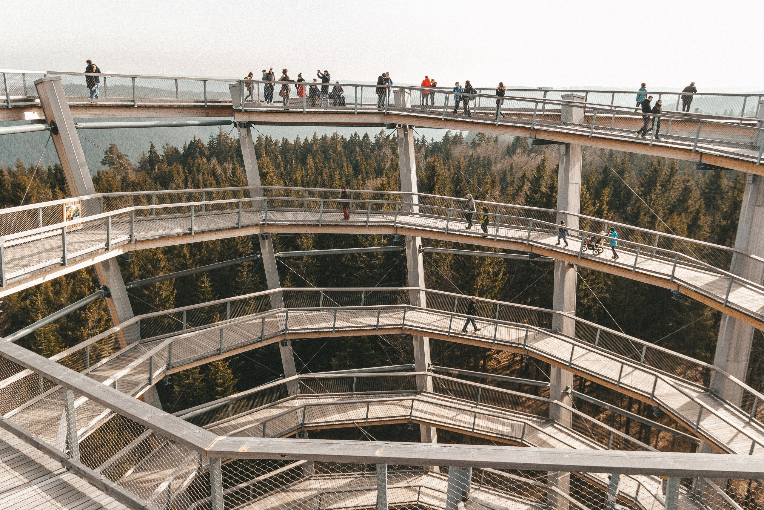 Над вершинами деревьев Baumwipfelpfad. Фотограф в Германии — Мария Чистякова