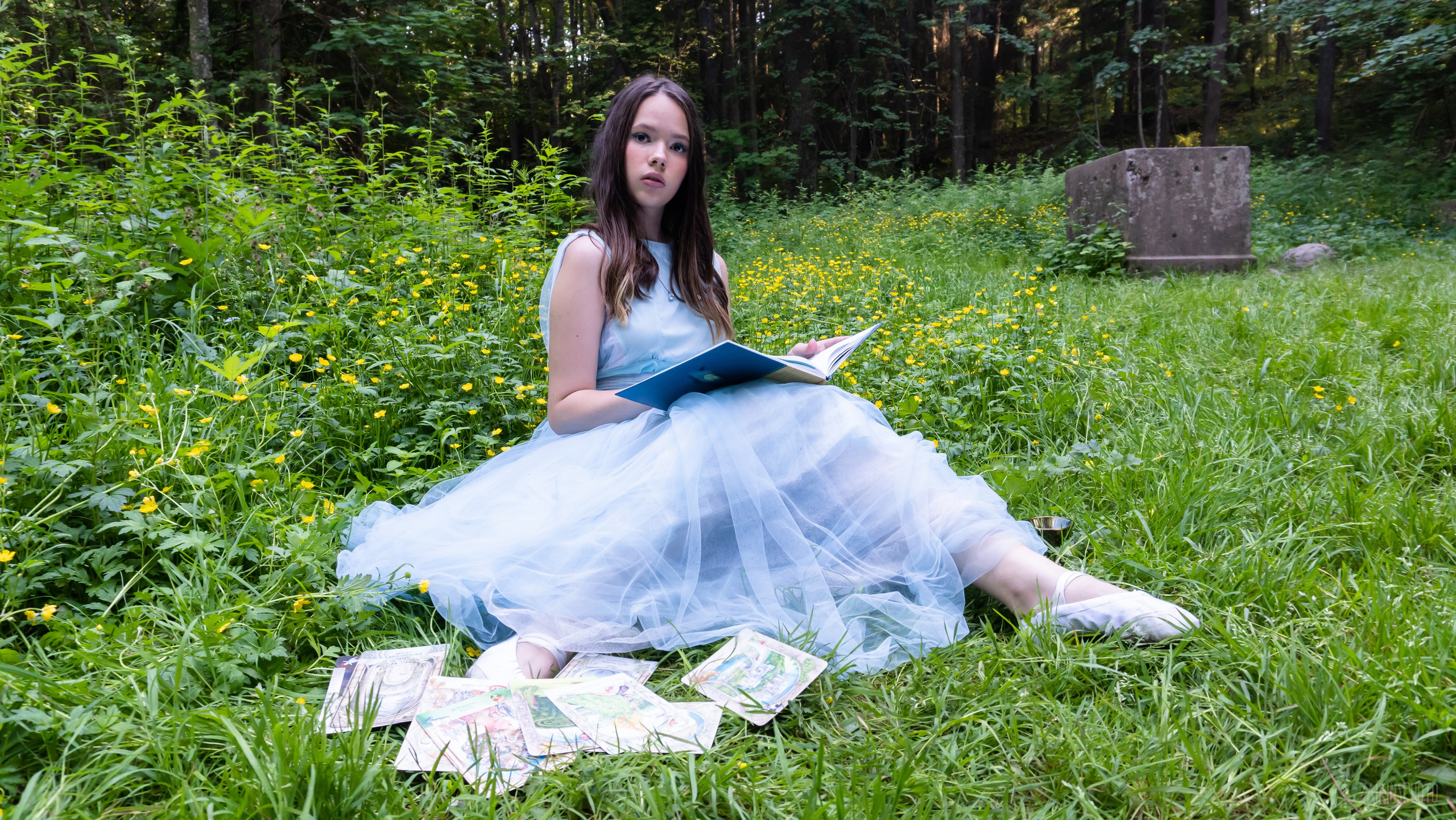 Alice In Wonderland. Main