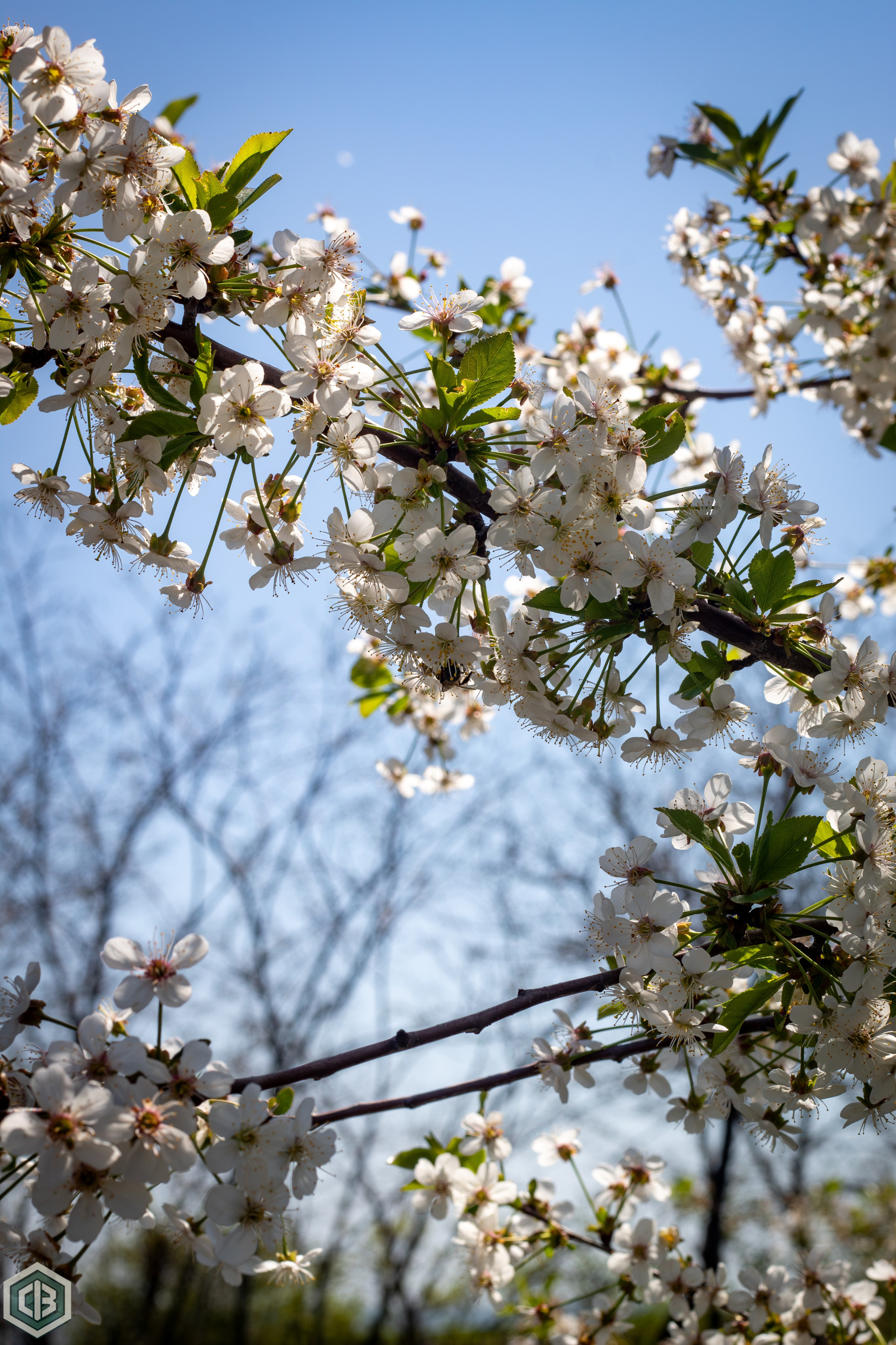 Trip to Mileanca. Cristian Baltag | Photography | Capturing Moments in Iasi