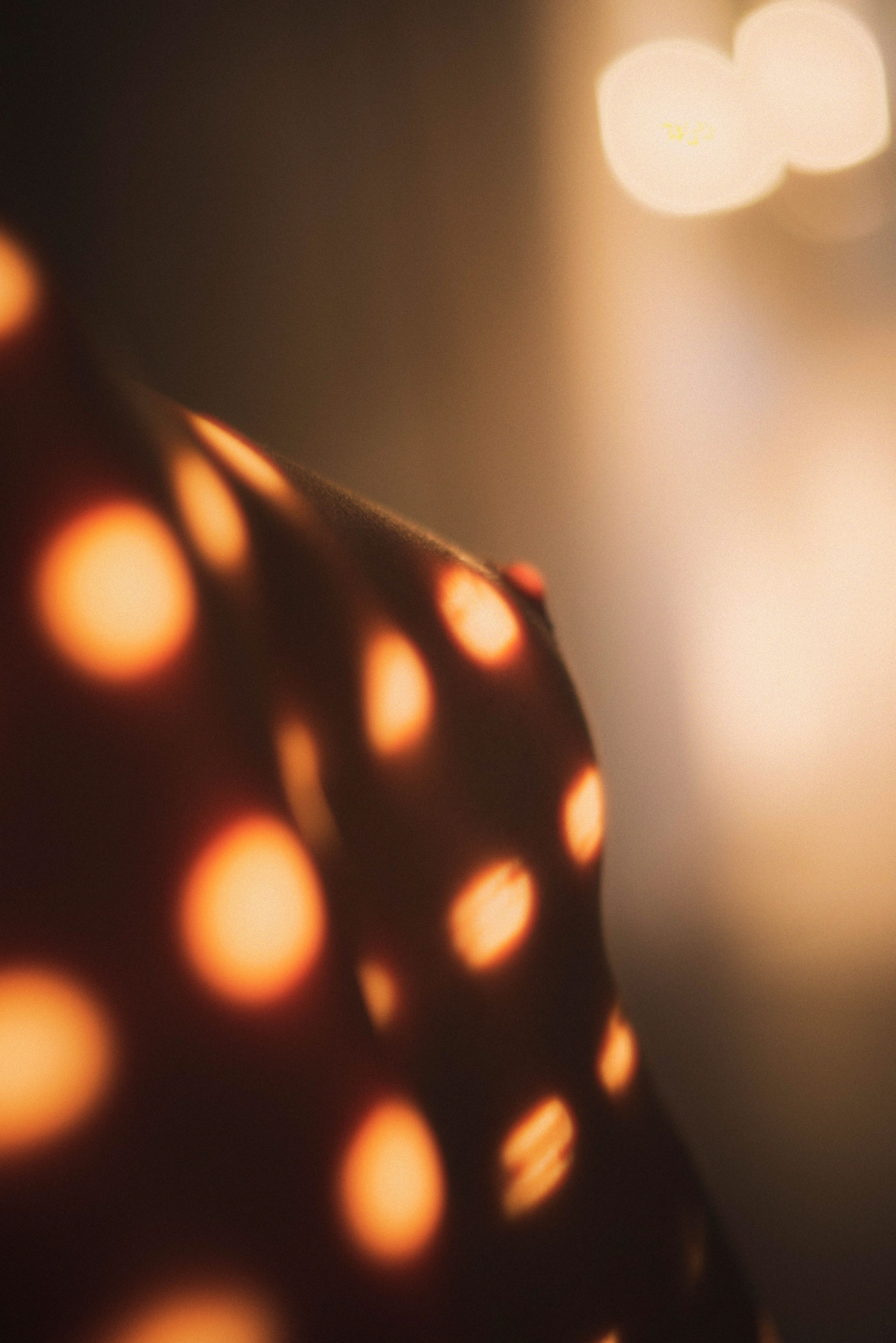 Sunset. Zhukov studio