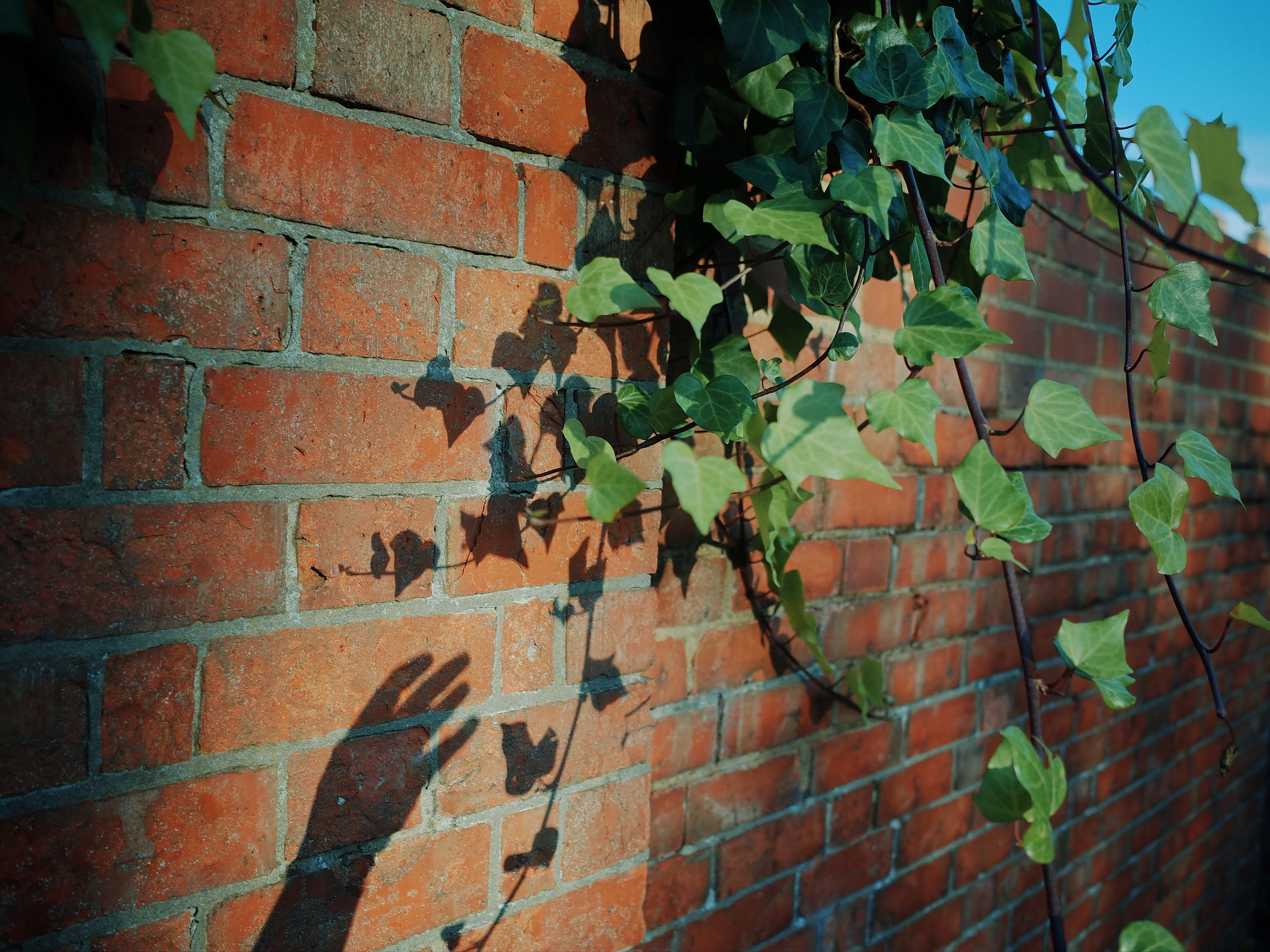 Angry walk of not belonging. Victoria Dini. Art photography in London / Folkestone, UK