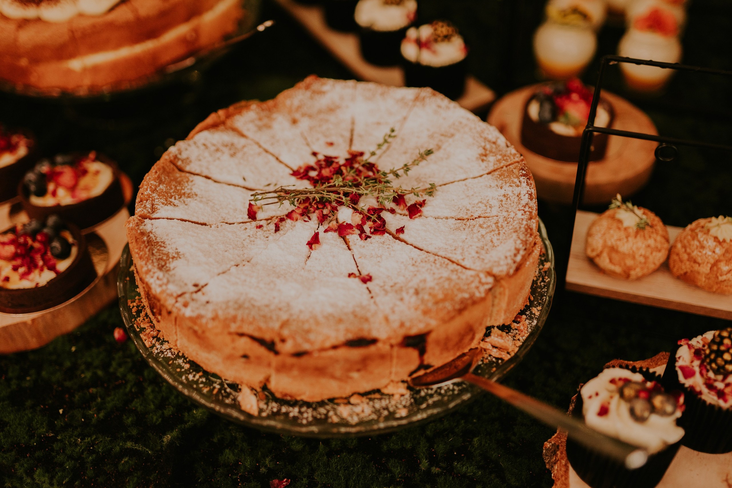 Sala Koralowa w Jaworzu: Opowieść o ślubie Nikoli i Kacpra. Karkowskafoto - fotografia miłości