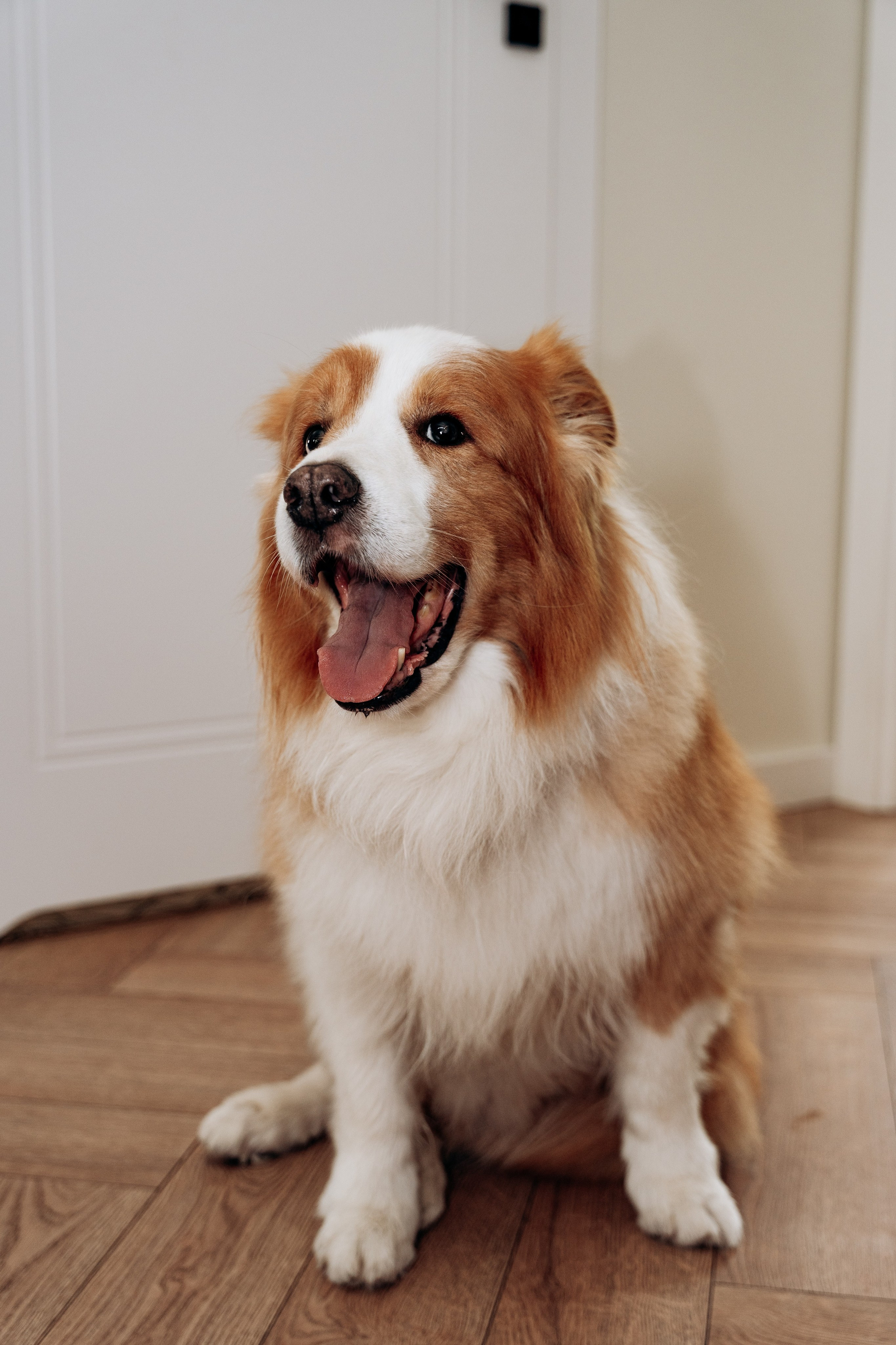 D&P. SL Wedding Photo: ponadczasowa 💍 fotografia ślubna | Wrocław & Europa