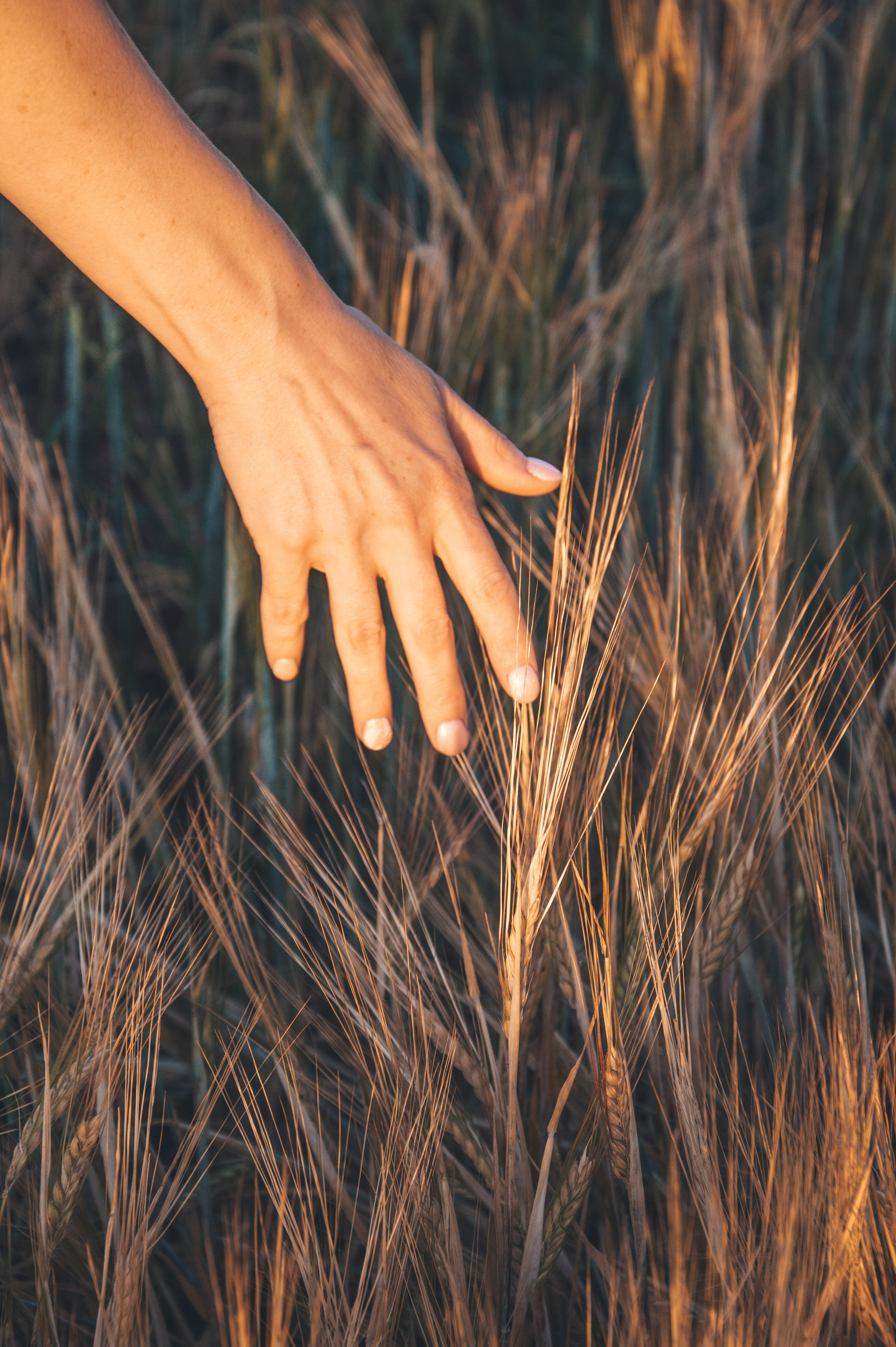 В поле. Анастасия Благова — Твой фотограф в Малаге 🇪🇸