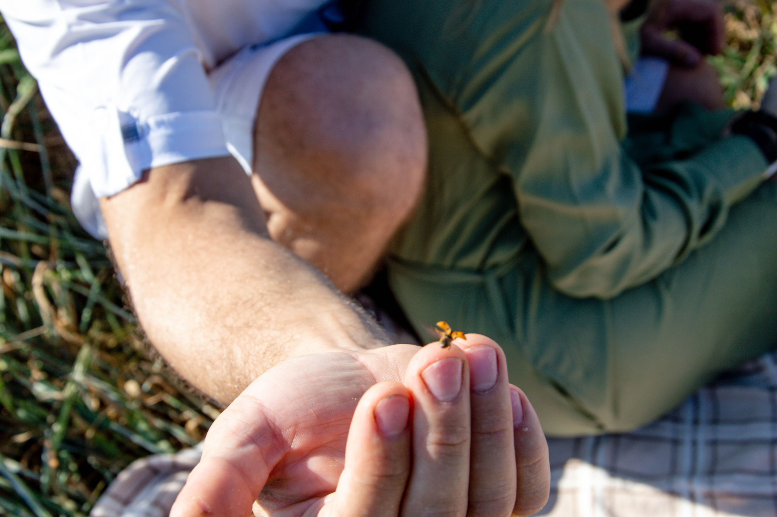 Пикник. Анастасия Благова — Твой фотограф в Малаге 🇪🇸