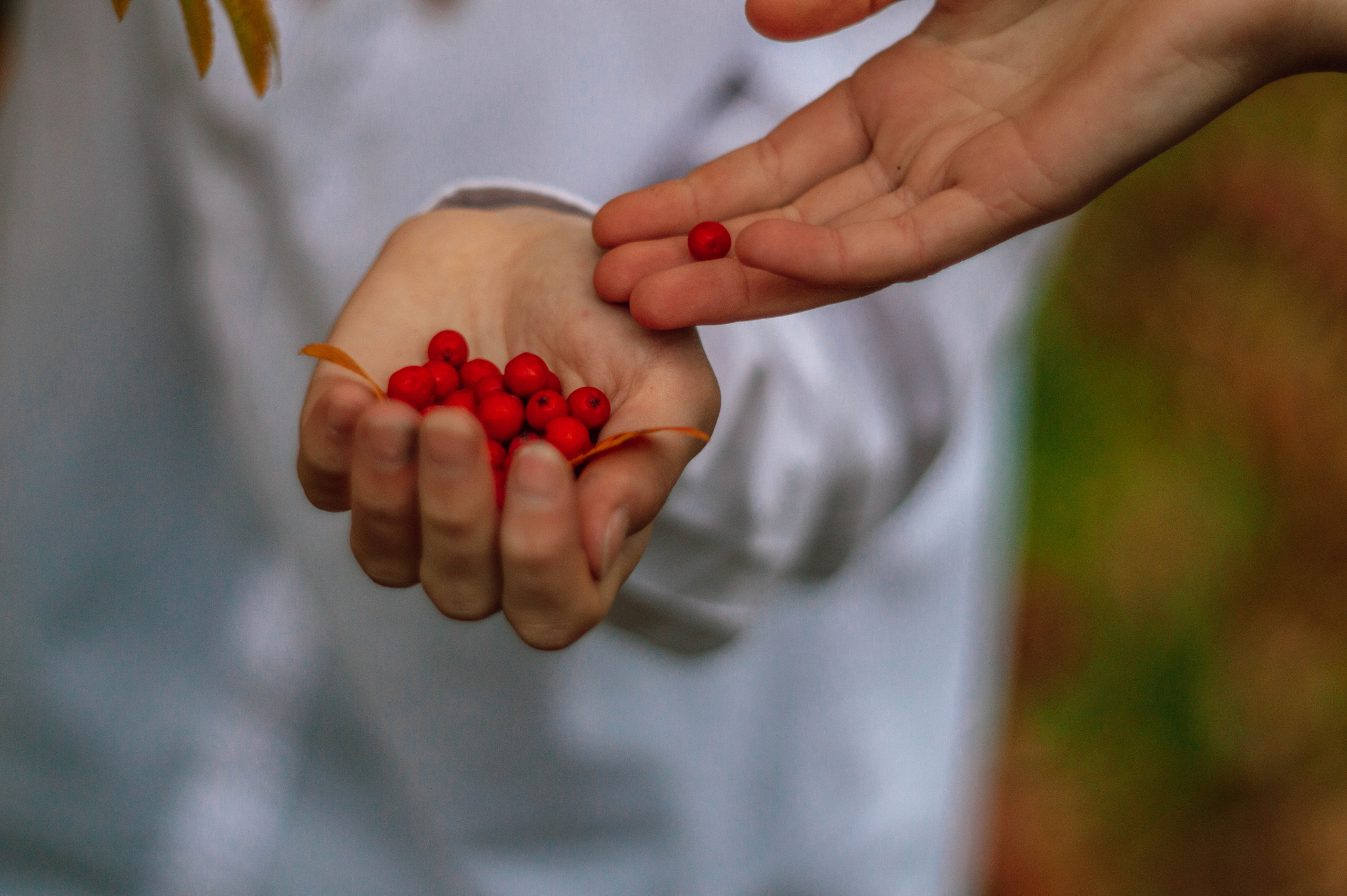 Школа. Анастасия Благова — Твой фотограф в Малаге 🇪🇸