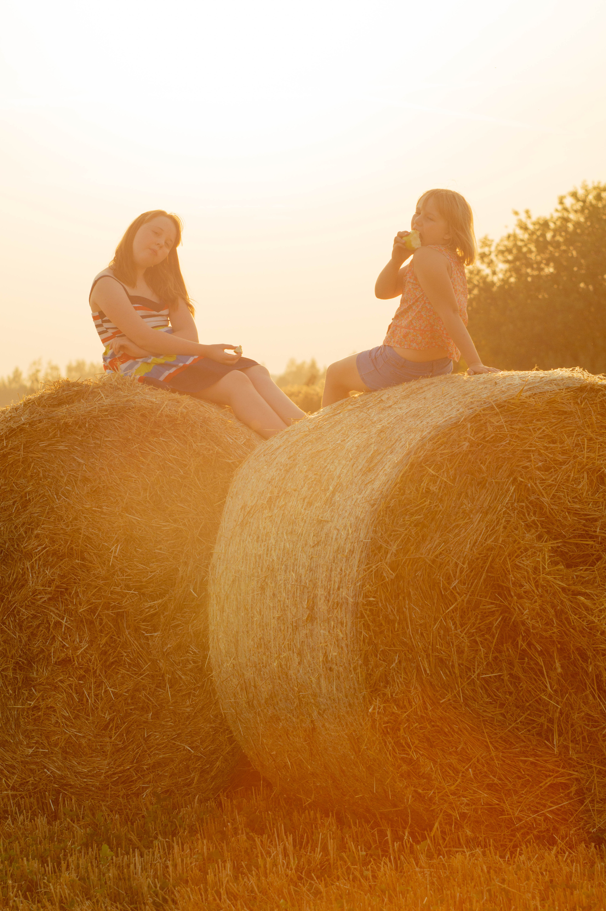 В стогах. Анастасия Благова — Твой фотограф в Малаге 🇪🇸