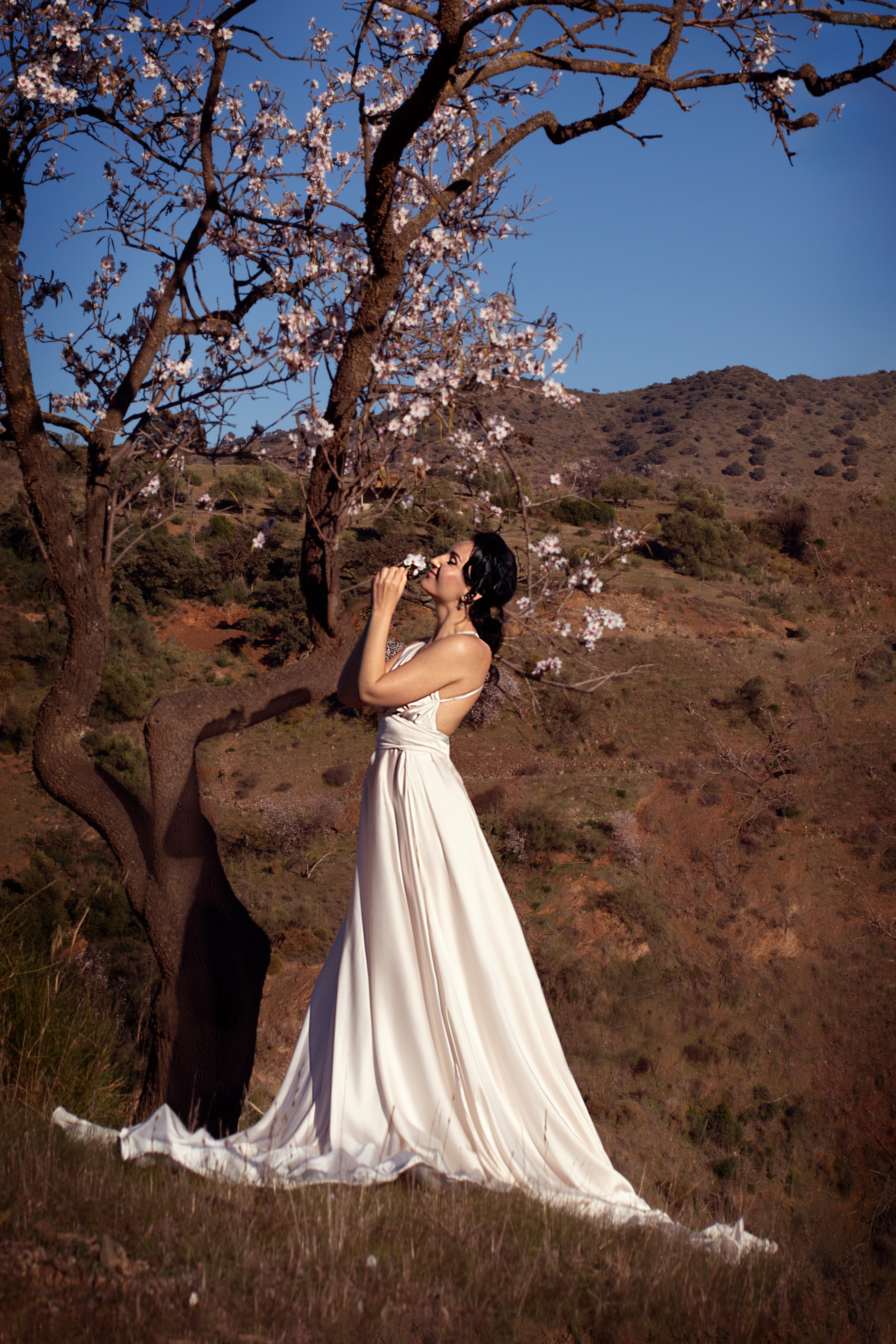 Цветение мидаля. Анастасия Благова — Твой фотограф в Малаге 🇪🇸