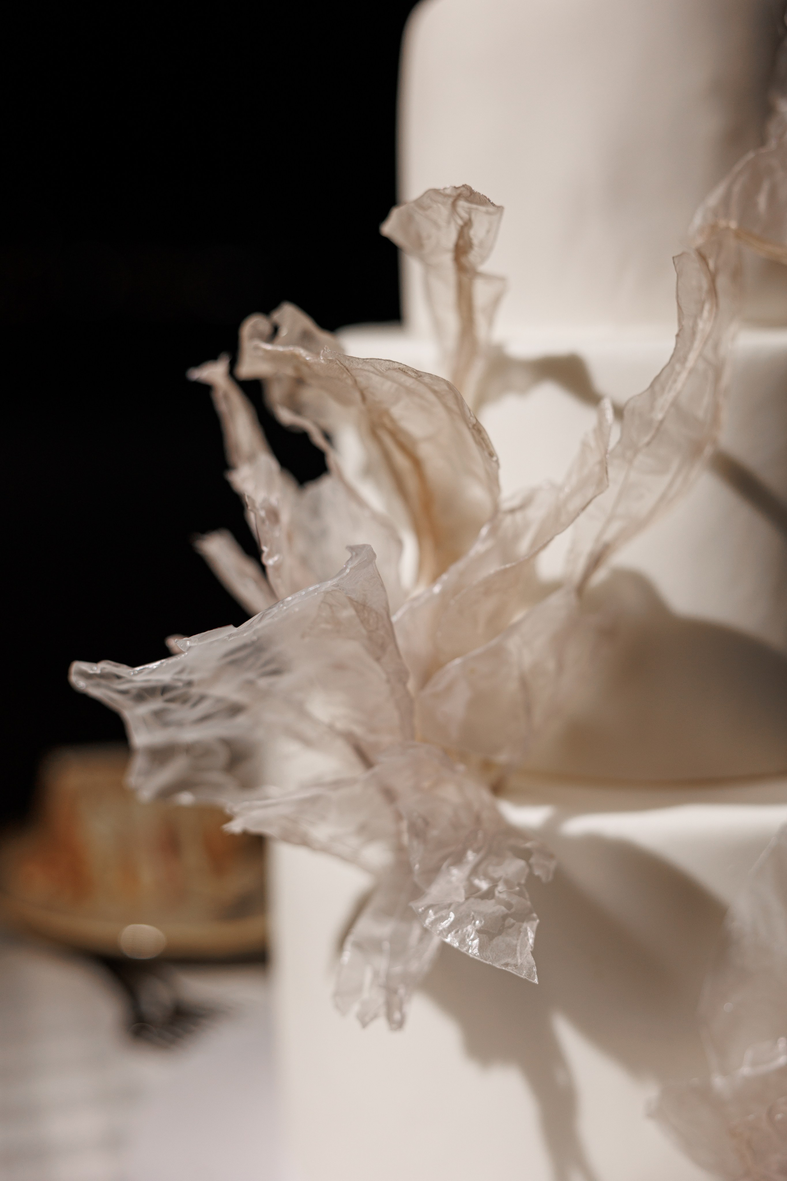 Bulgaria - Alexandru & Lolita. Servicii foto-video!