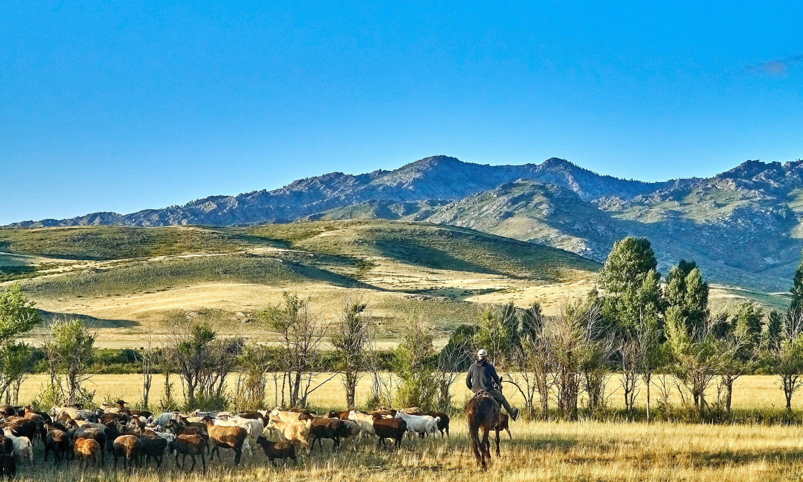 Sibiny (Kazachstan). Andriej Szypilow — Photography & Videography