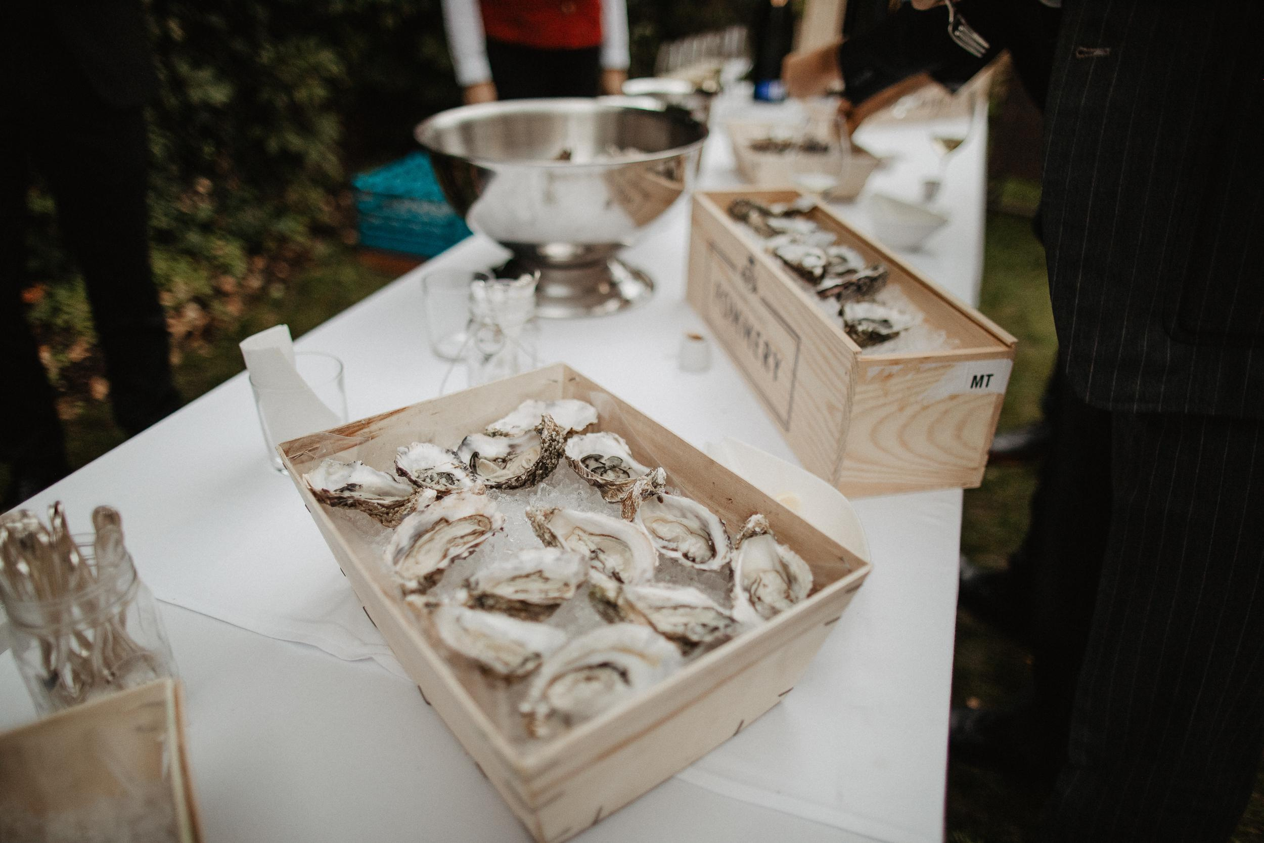 Intimate Wedding in castle Austria. Iceland elopement photographer & videographer