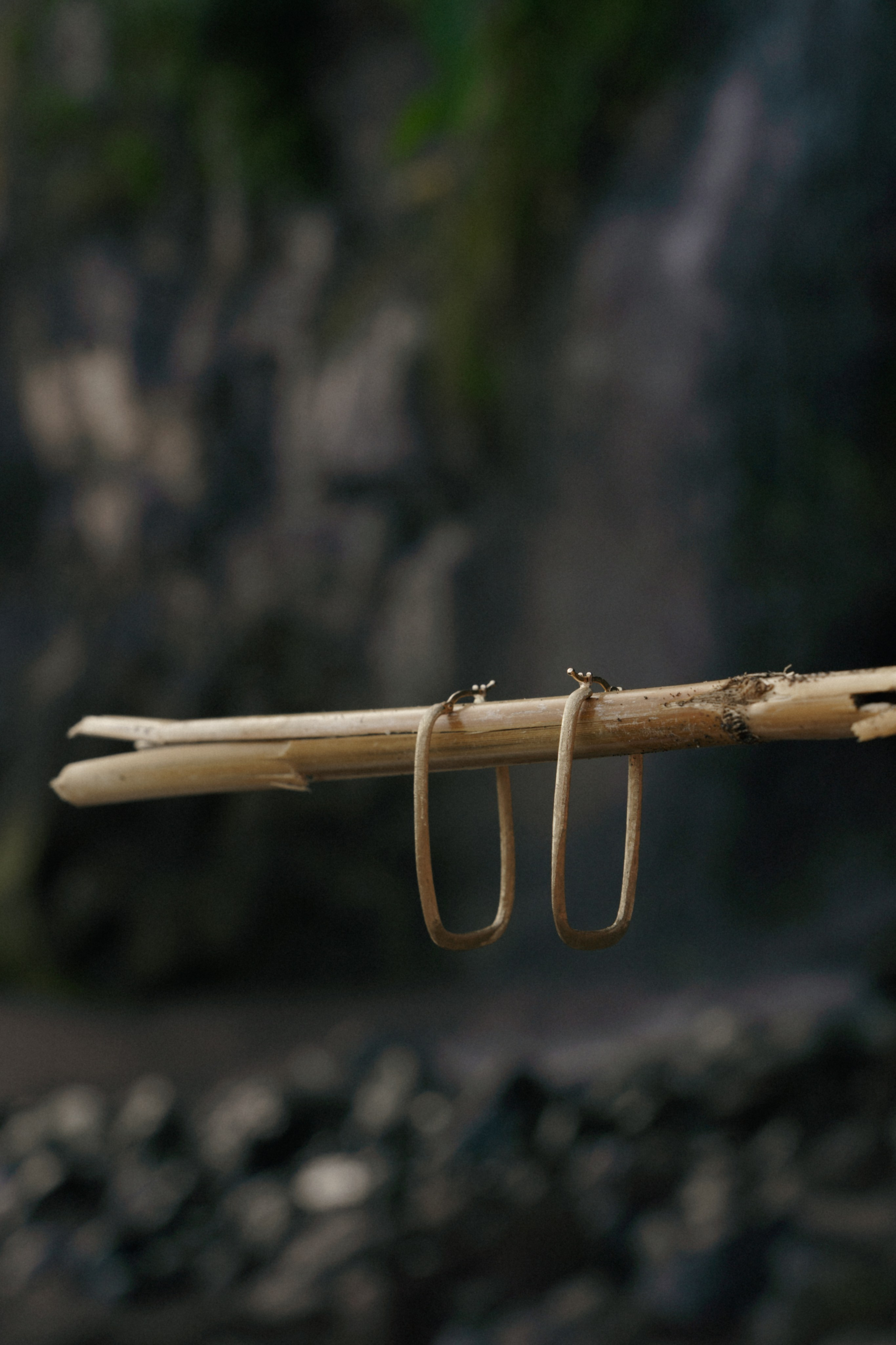 Lost in Madeira. Patricia Morenci — Mountain Adventures for the Wild at Heart