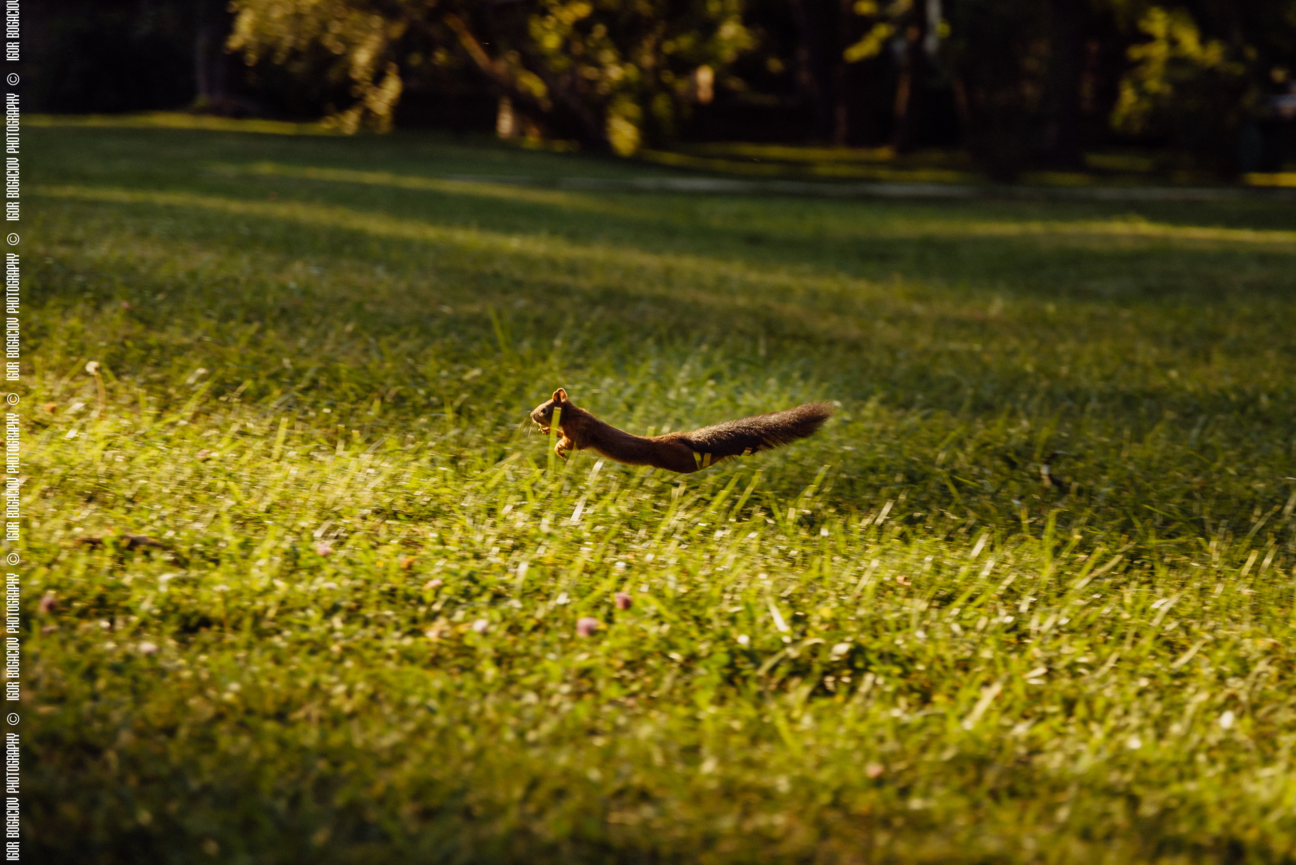 Familia Marin. Photographer from Moldova Igor Bogaciov