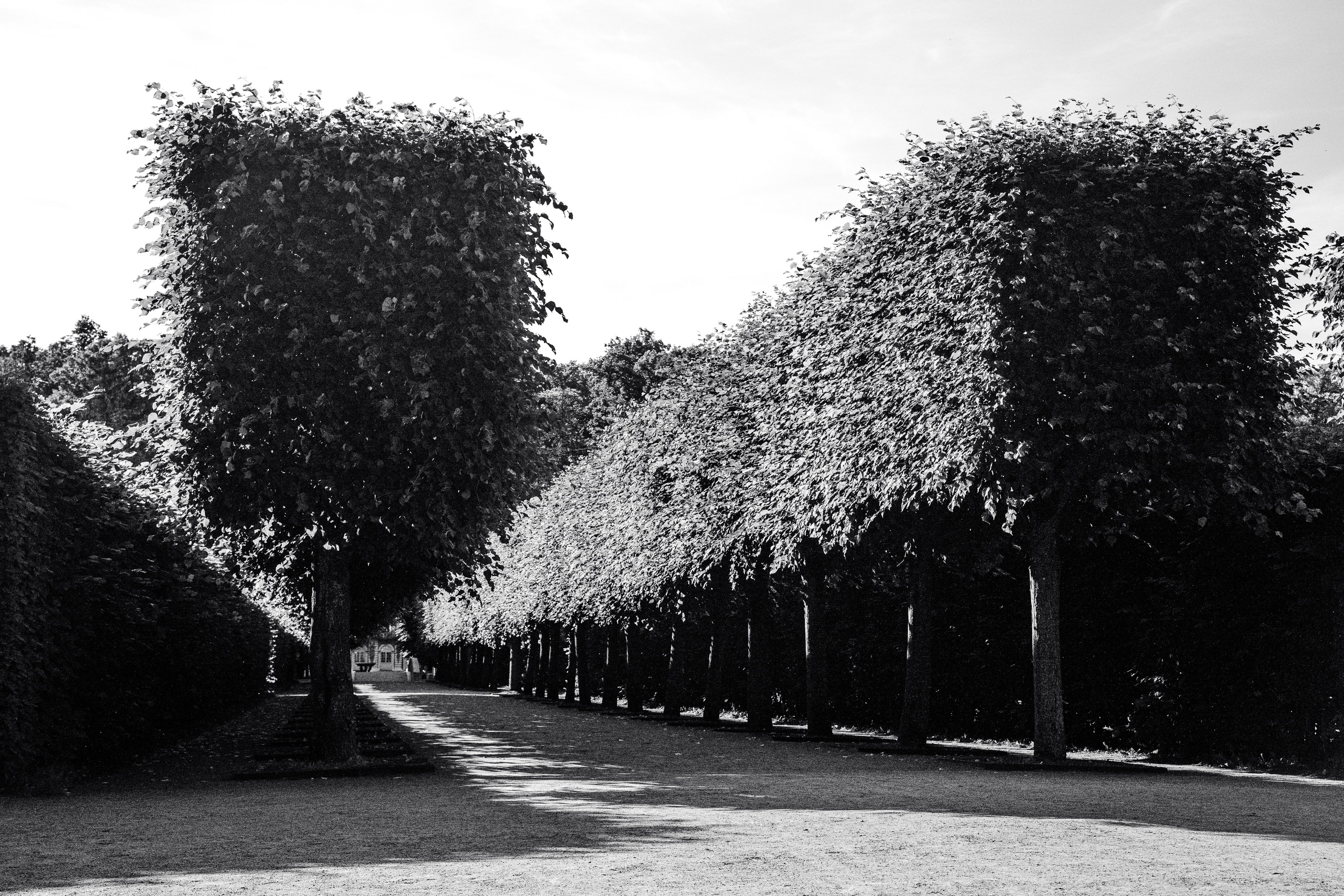 St Petersburg. Fotografinja in videografinja Mariia Bortiakova iz Slovenije: fotografiranje dogodkov, portretov in snemanje videov po vsej Sloveniji