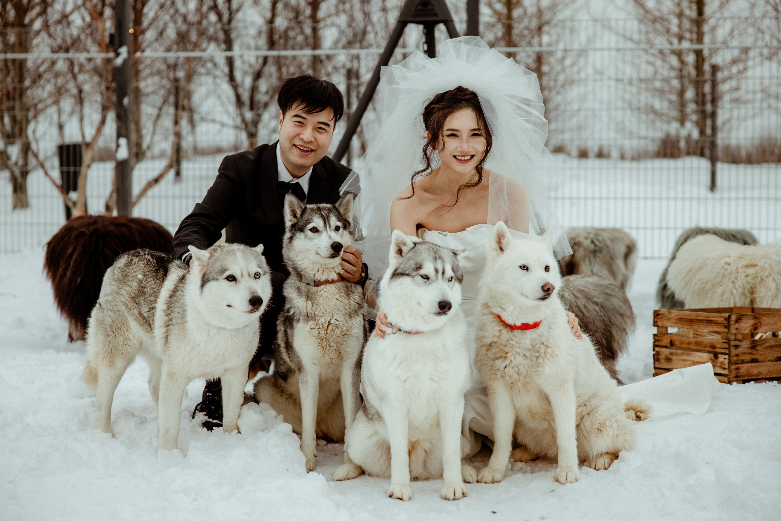 Zhou+Nan | 2 days elopement in Iceland. Iceland elopement photo and video | Nikolaichik Photo