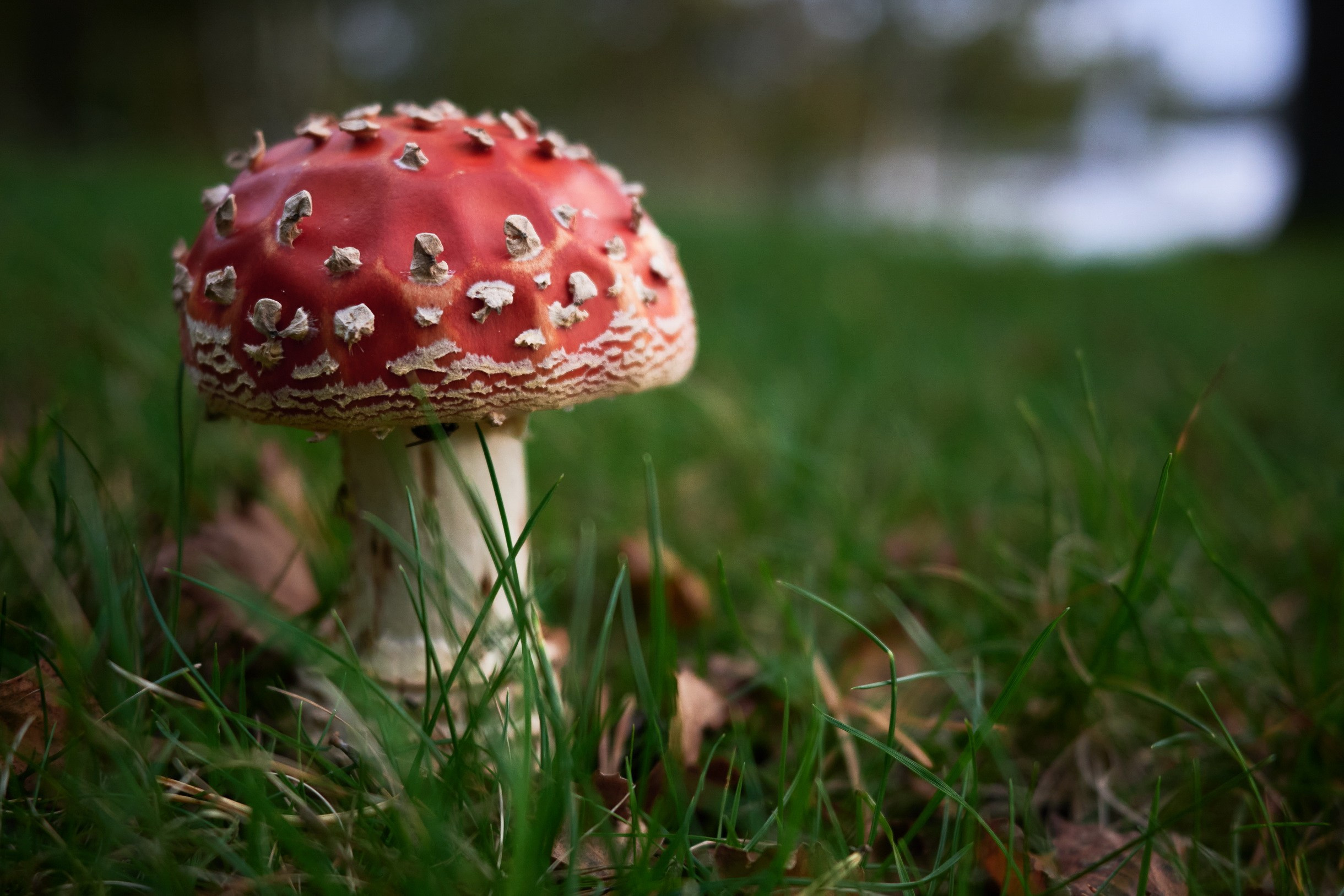 Close-Up. Yuri Popkov | Photographer