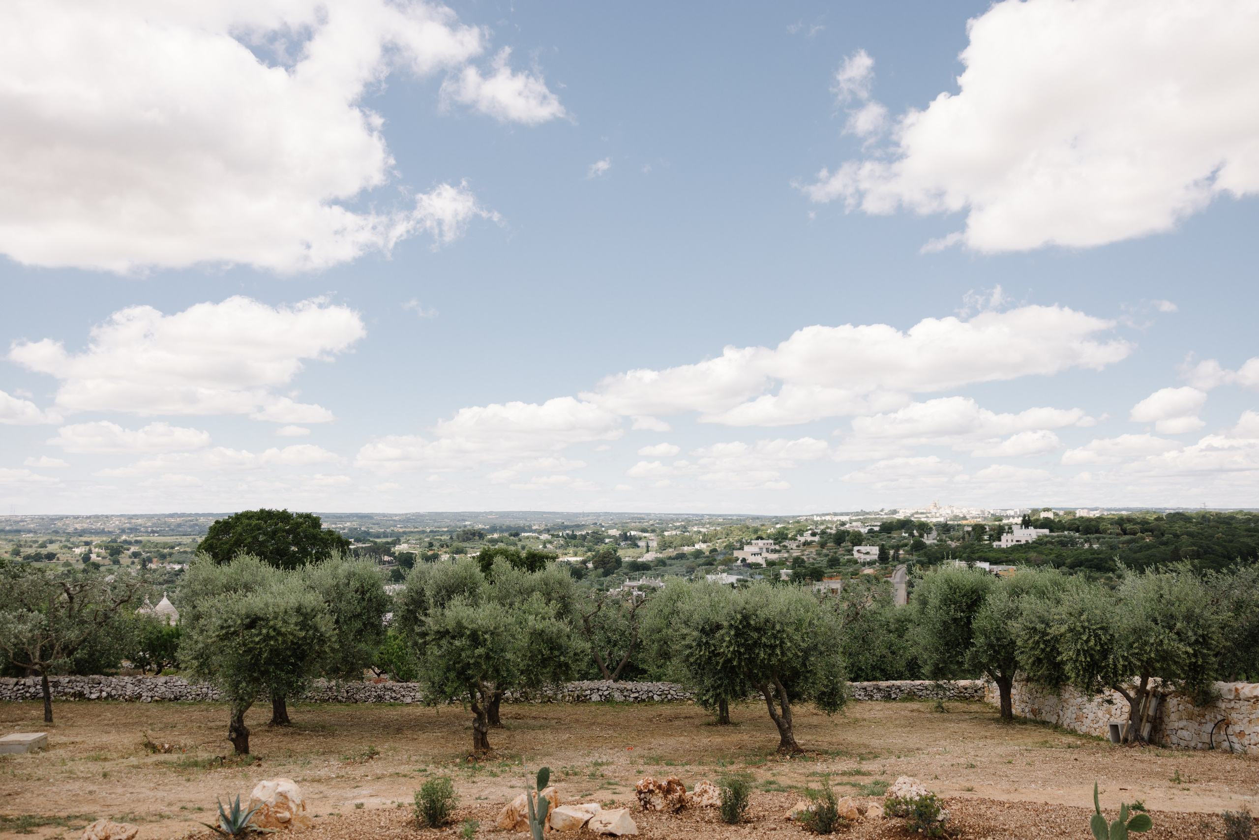 2. Весільний фотограф Вікторія Саврук