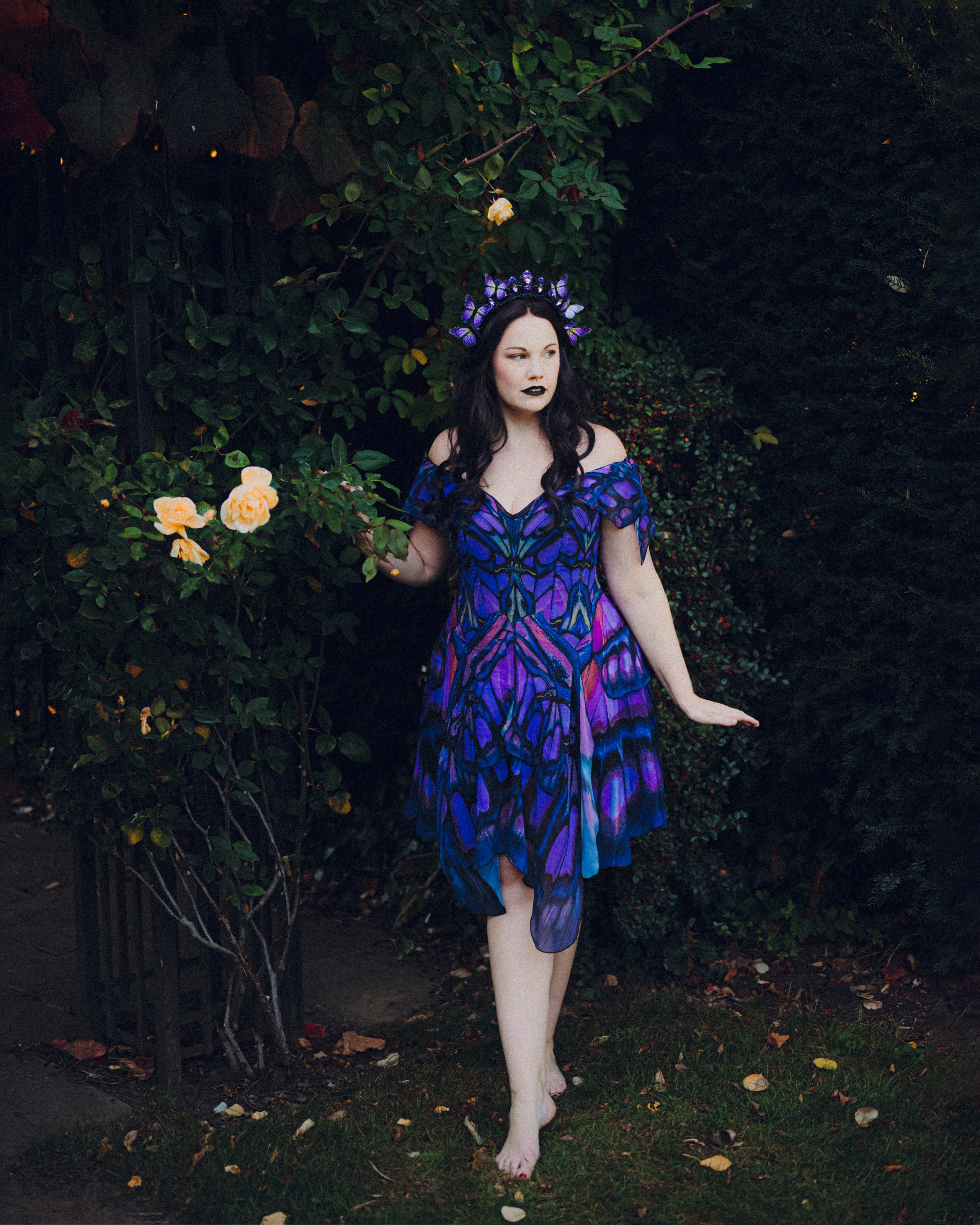 Butterfly purple fairy in a blooming garden. Moth & Moss Photography